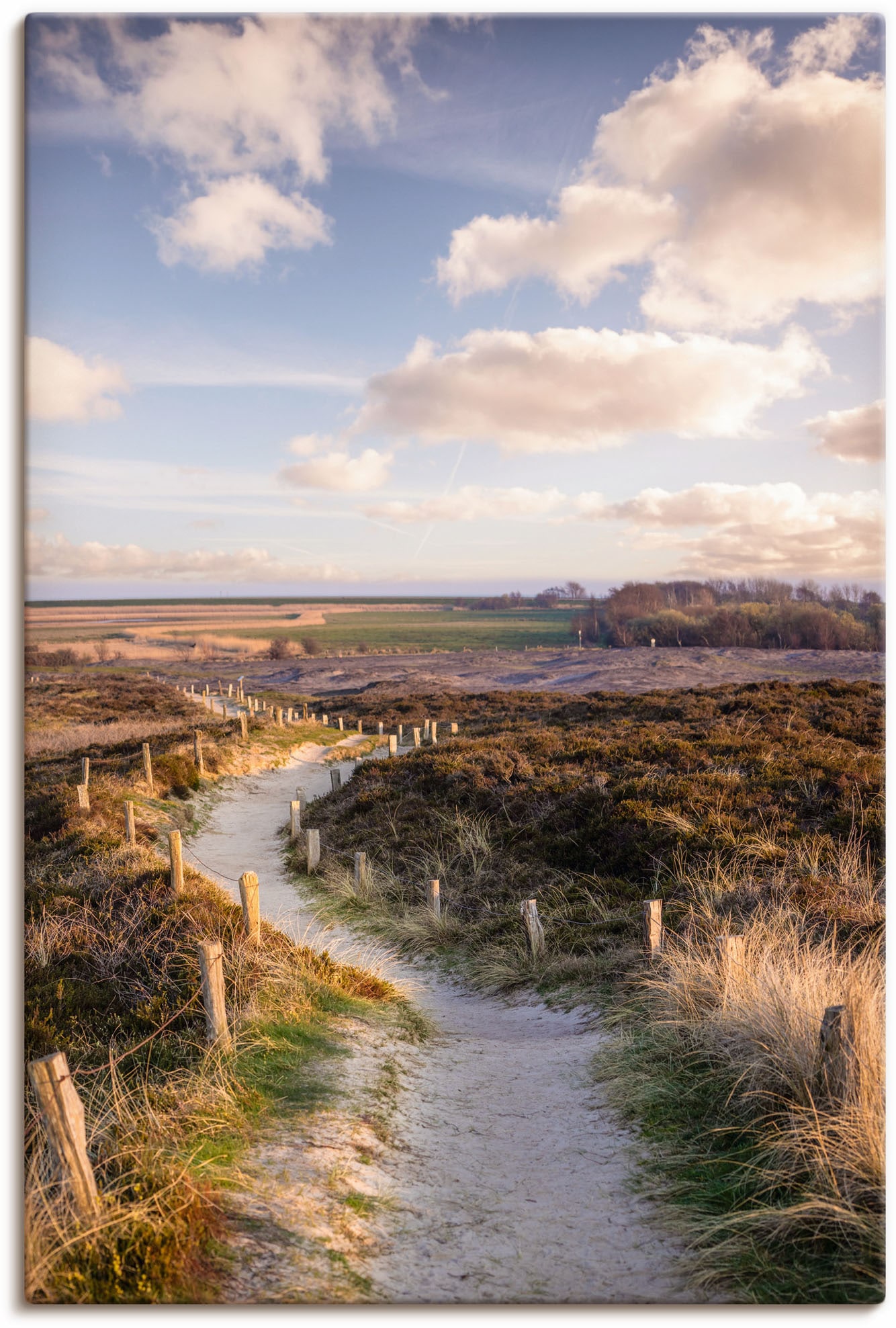 Artland Leinwandbild "Weg durch Naturschutzgebiet Morsum-Kliff" Felder 1 St günstig online kaufen