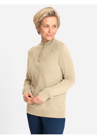 Stehkragenpullover »Pullover«