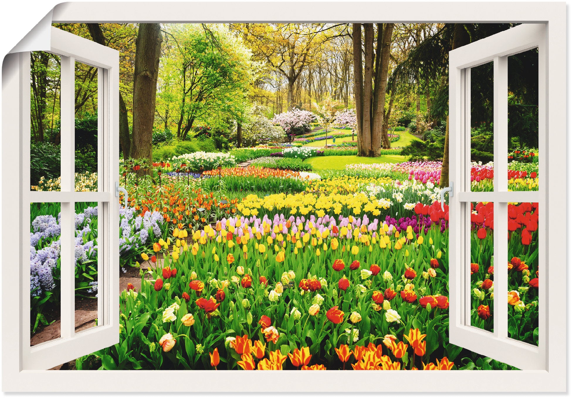 Artland Wandbild "Fensterblick Tulpen Garten Frühling", Fensterblick, (1 St.), als Alubild, Outdoorbild, Leinwandbild, P