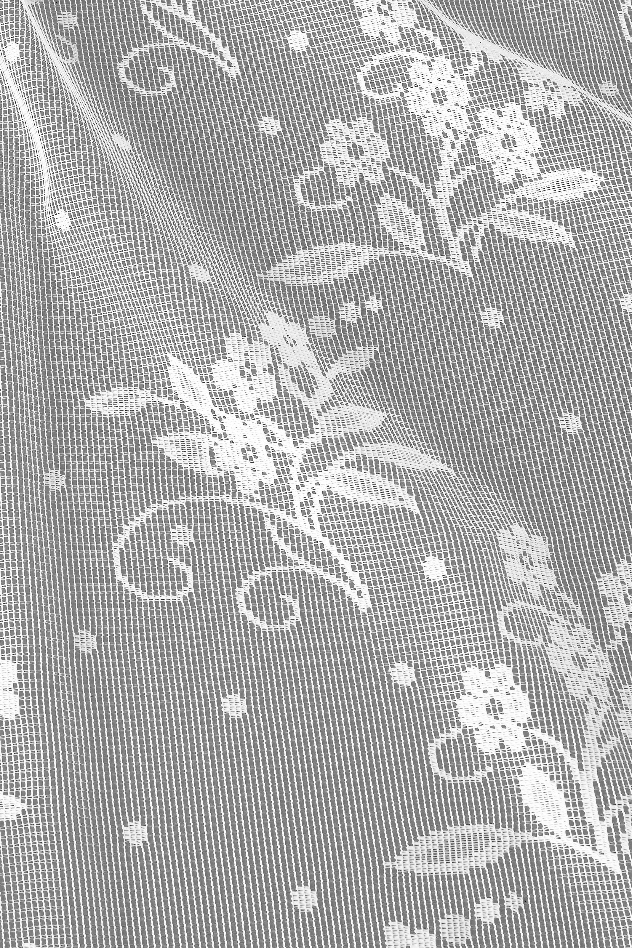 Home Affaire Gardine »Moni«, (2 St.), Transparent, Jacquard, Florales ...