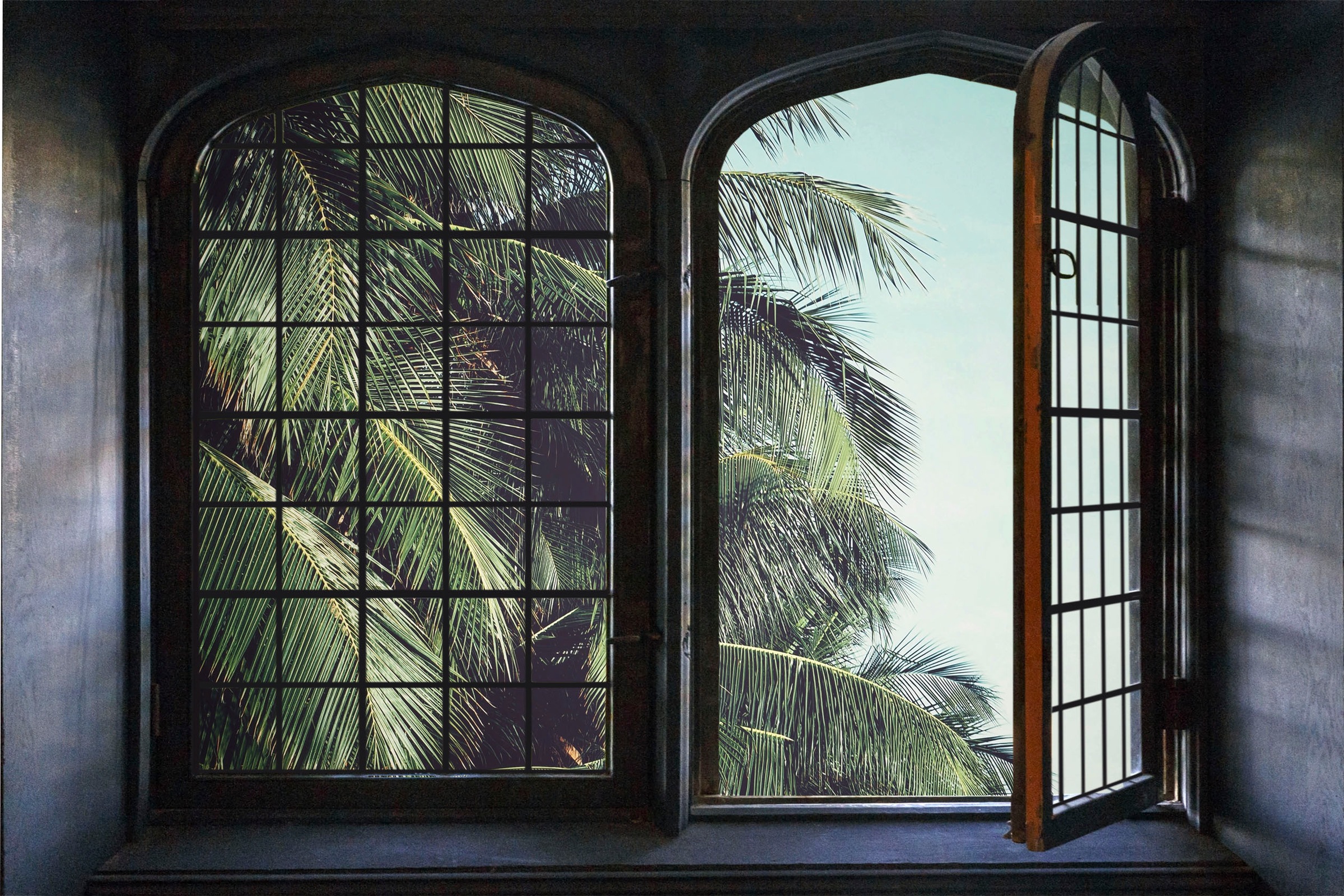 queence Wandsticker »Palme«, Wandsticker, Wandbild, selbstklebend, 3D, Fenster