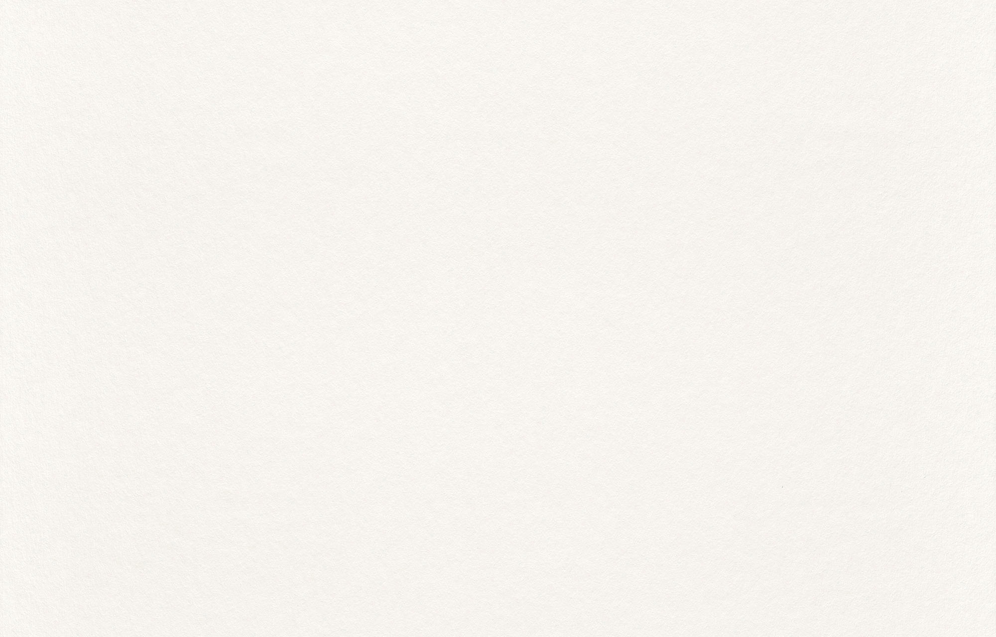 Rasch Vliestapete »Makulaturvlies« uni geprägt