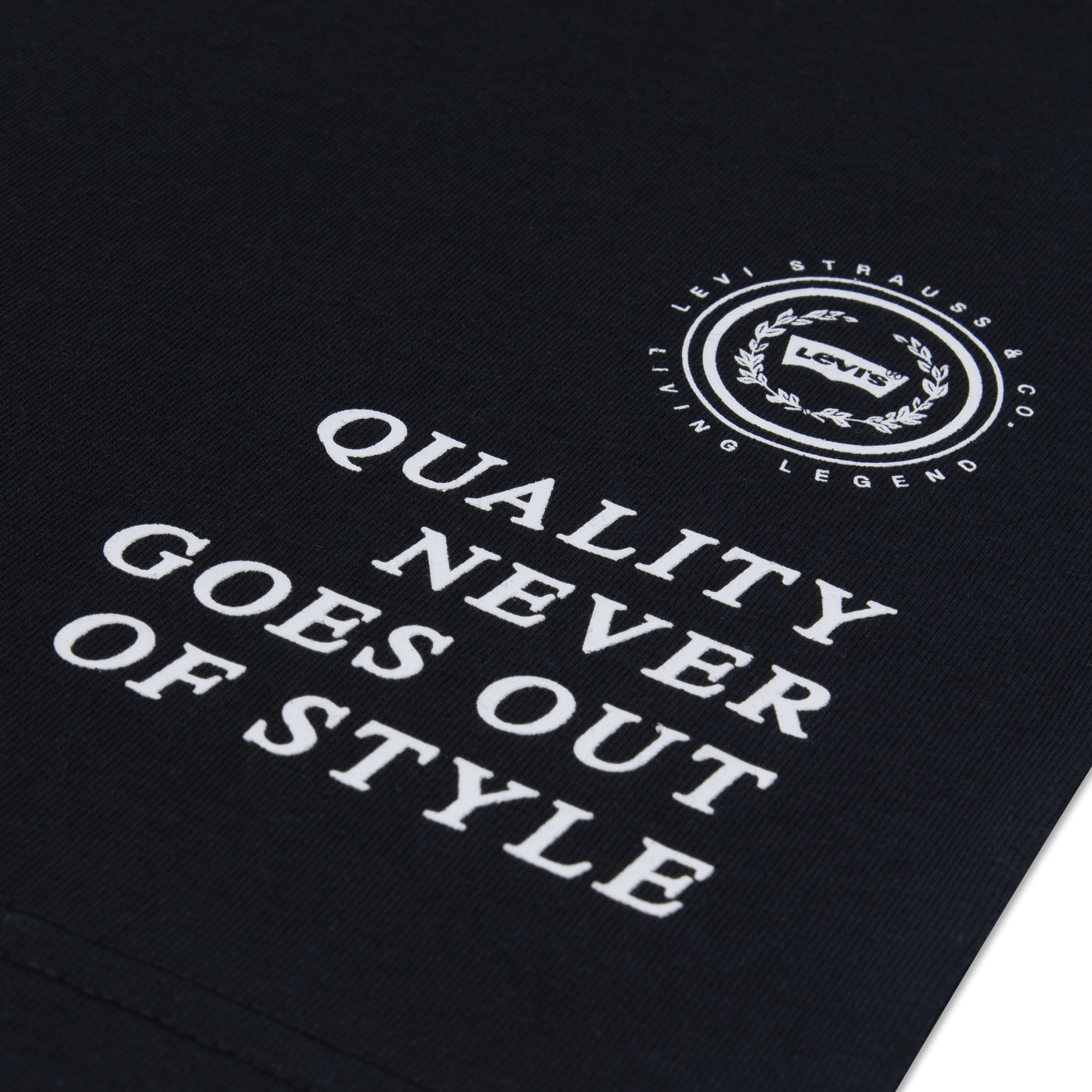 Levi's® Kids T-Shirt »LVB URBAN PREP TEE« for Boys, mit Stickerei und Print