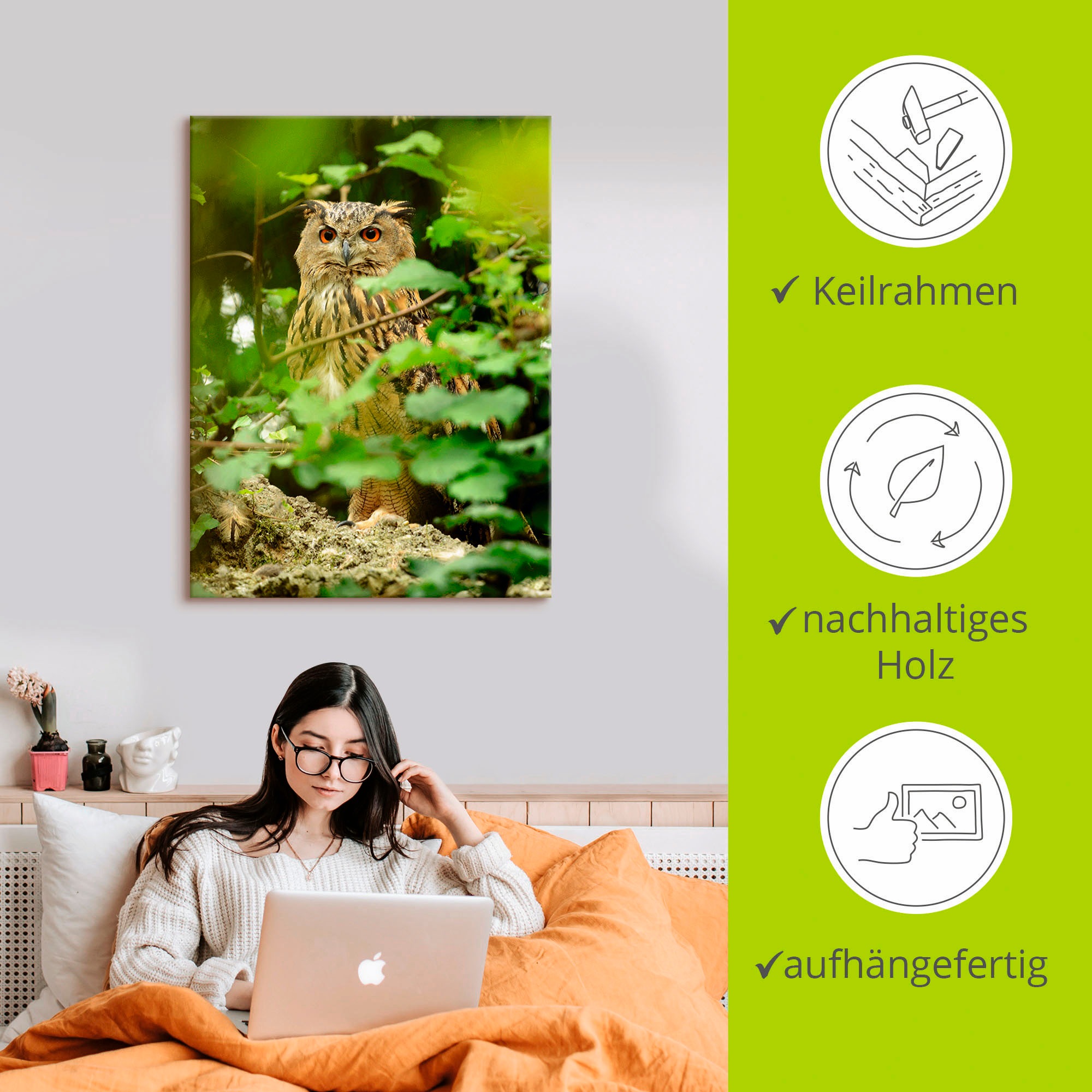 Artland Wandbild »Vogel Uhu«, Vögel, (1 St.), als Leinwandbild, Poster in verschied. Größen