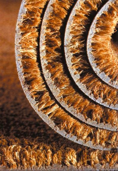 ASTRA Fußmatte "Kokosvelours 103" rechteckig 24 mm Höhe Schmutzfangmatte, K günstig online kaufen