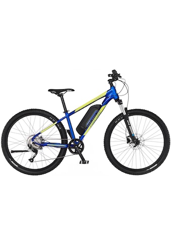 FISCHER Fahrrad FISCHER dviratis E-Bike »MONTIS 2.1 Ju...