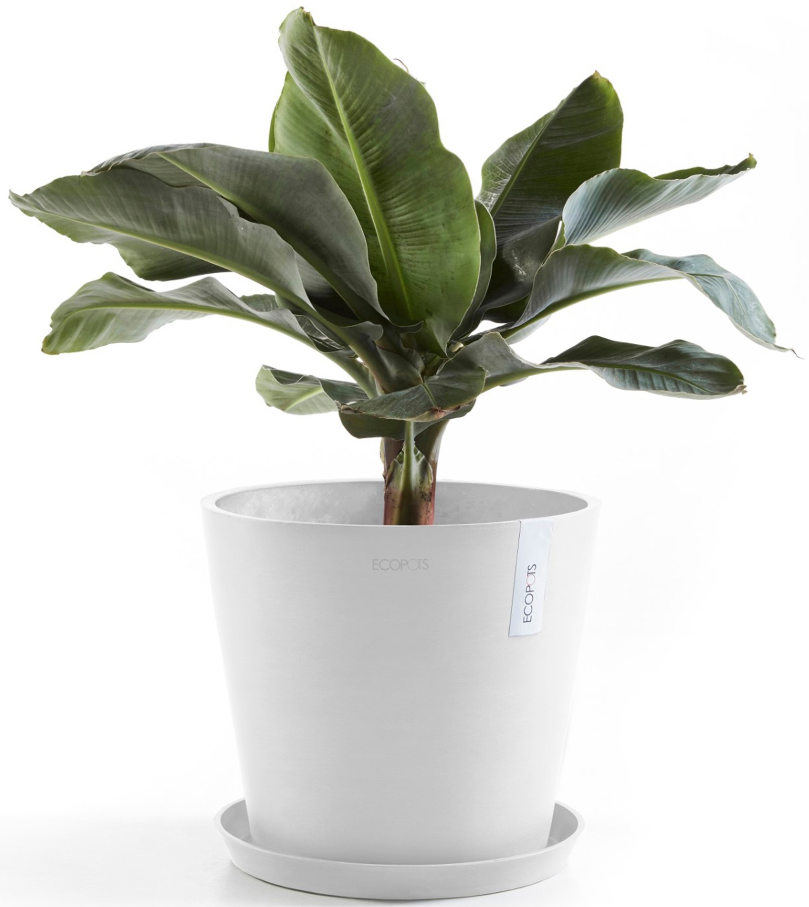ECOPOTS Blumentopf »Amsterdam 40 Weiß«, für innen und außen: frostsicher, bruchsicher und lichtbeständig