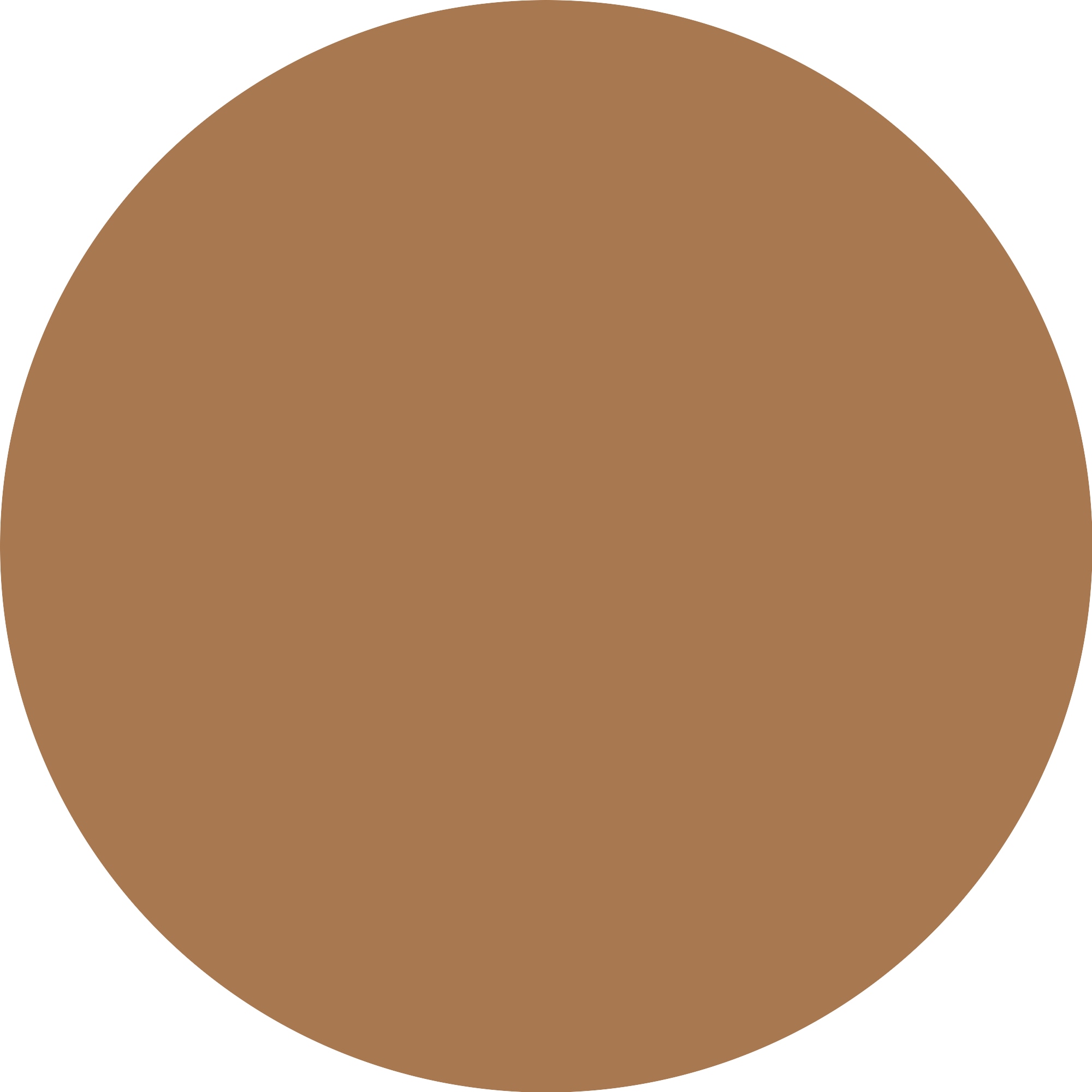 Catrice Foundation »Skin Like Tinted Moisturizer«