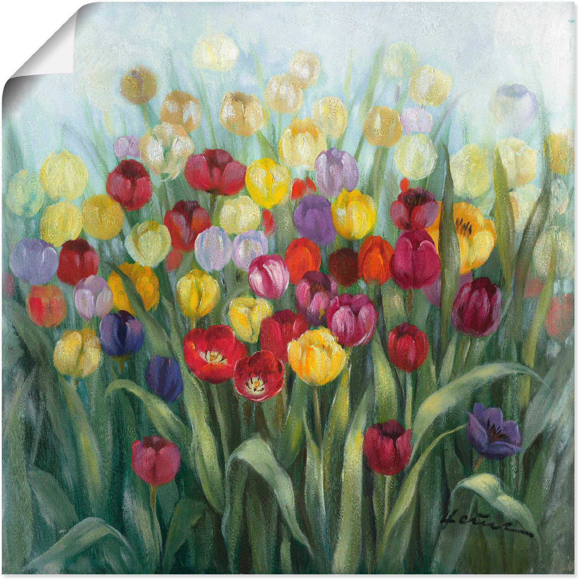 Artland Wandbild "Tulpenwiese II", Blumenwiese, (1 St.), als Alubild, Outdo günstig online kaufen