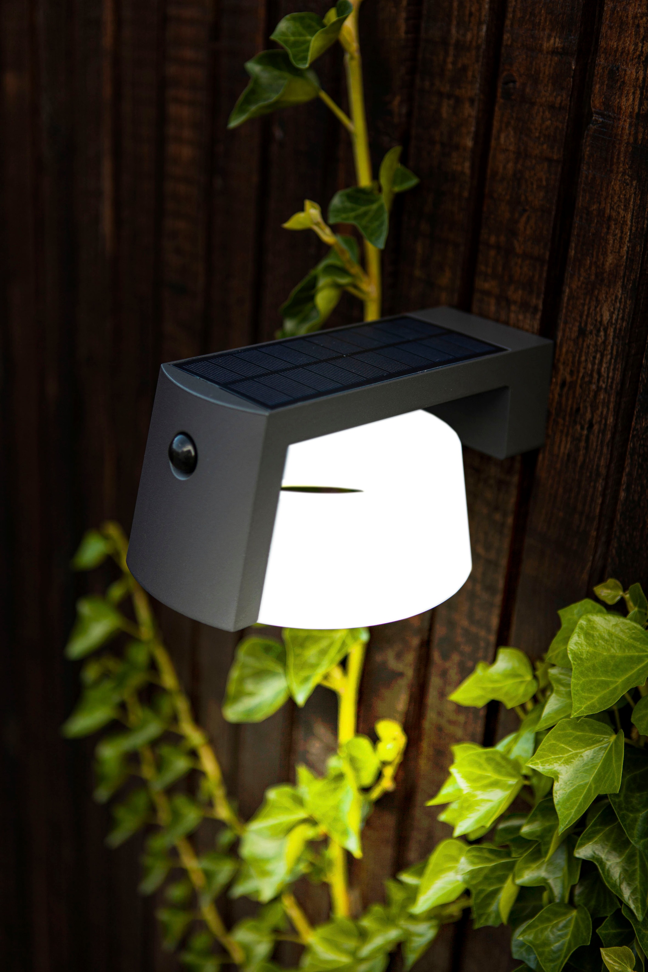 LUTEC LED Solarleuchte »MOON«