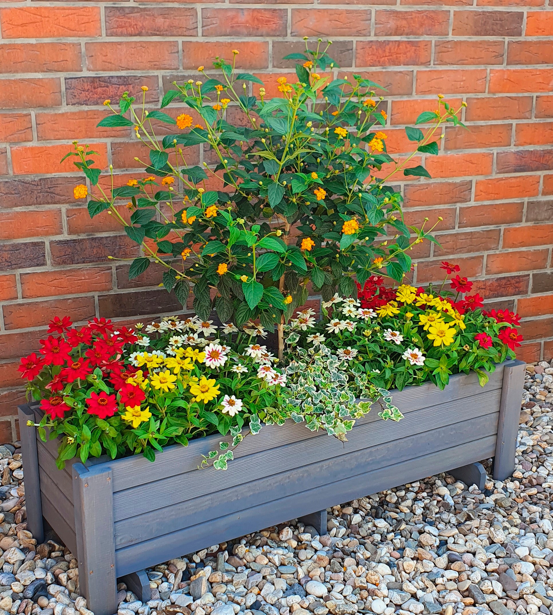 promadino Balkonkasten »Romantica« BxTxH: 78x38x...