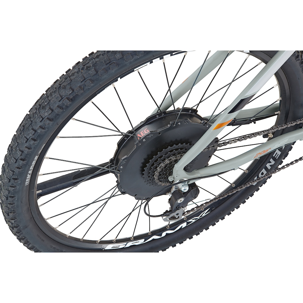 Prophete E-Bike »Graveler 22.EMM.20«, 9 Gang, Shimano, Alivio, Heckmotor 250 W