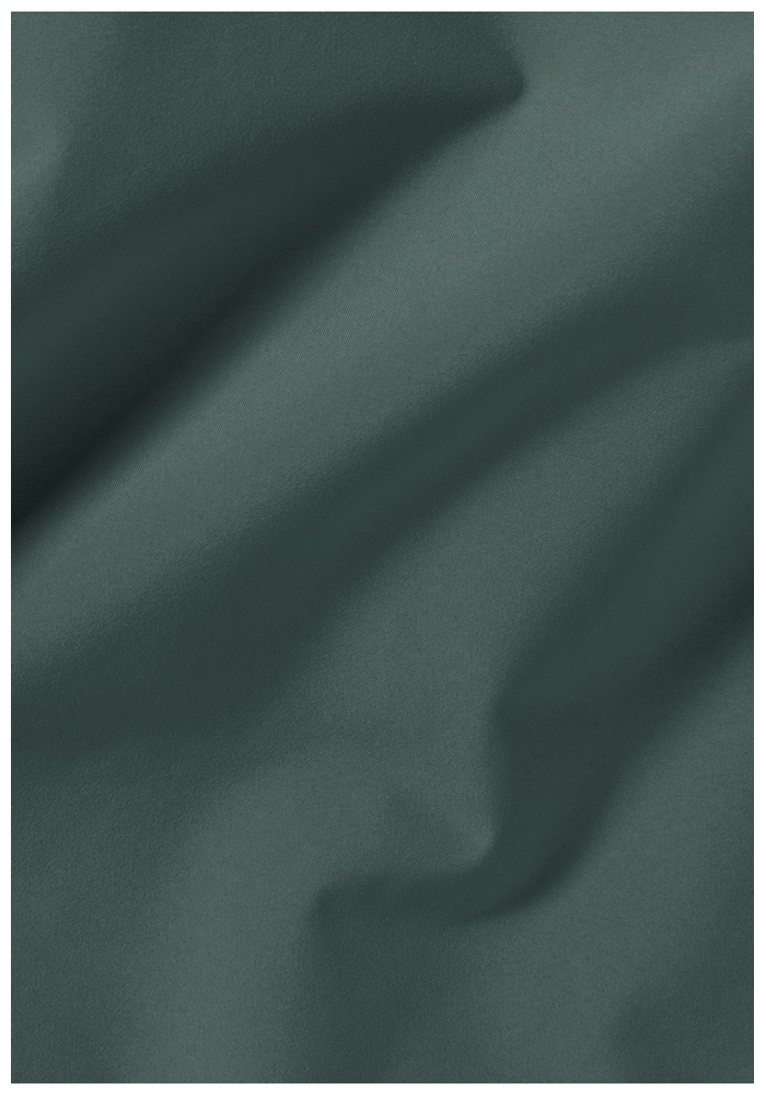 Jack Wolfskin Funktionsjacke »TEMPEST 2L JKT M« mit Kapuze