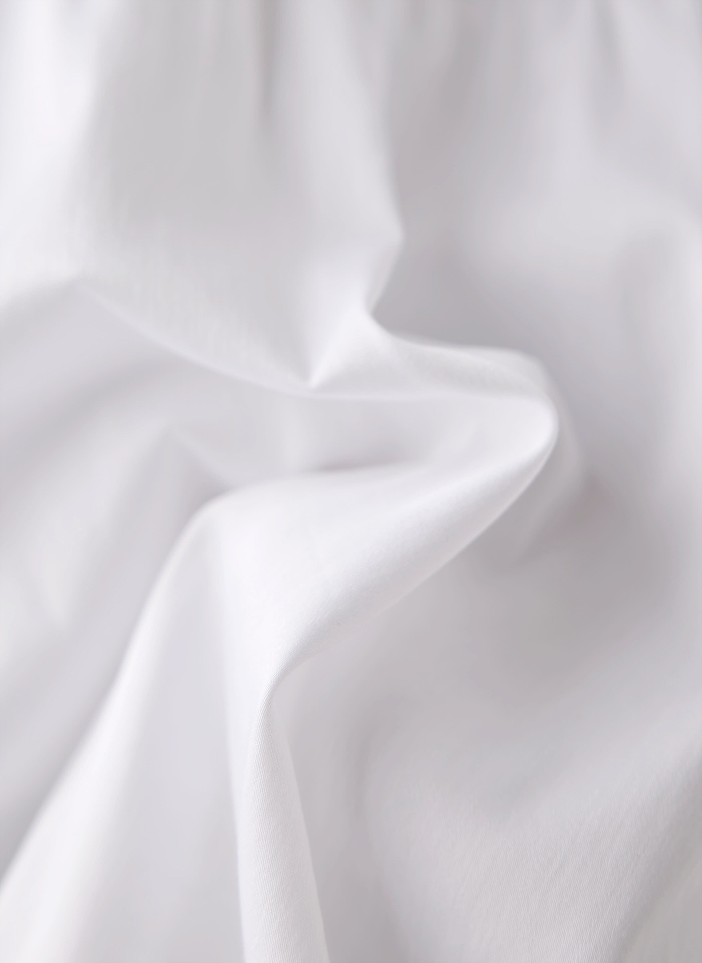 LeComte Print-Shirt "T-Shirt" günstig online kaufen