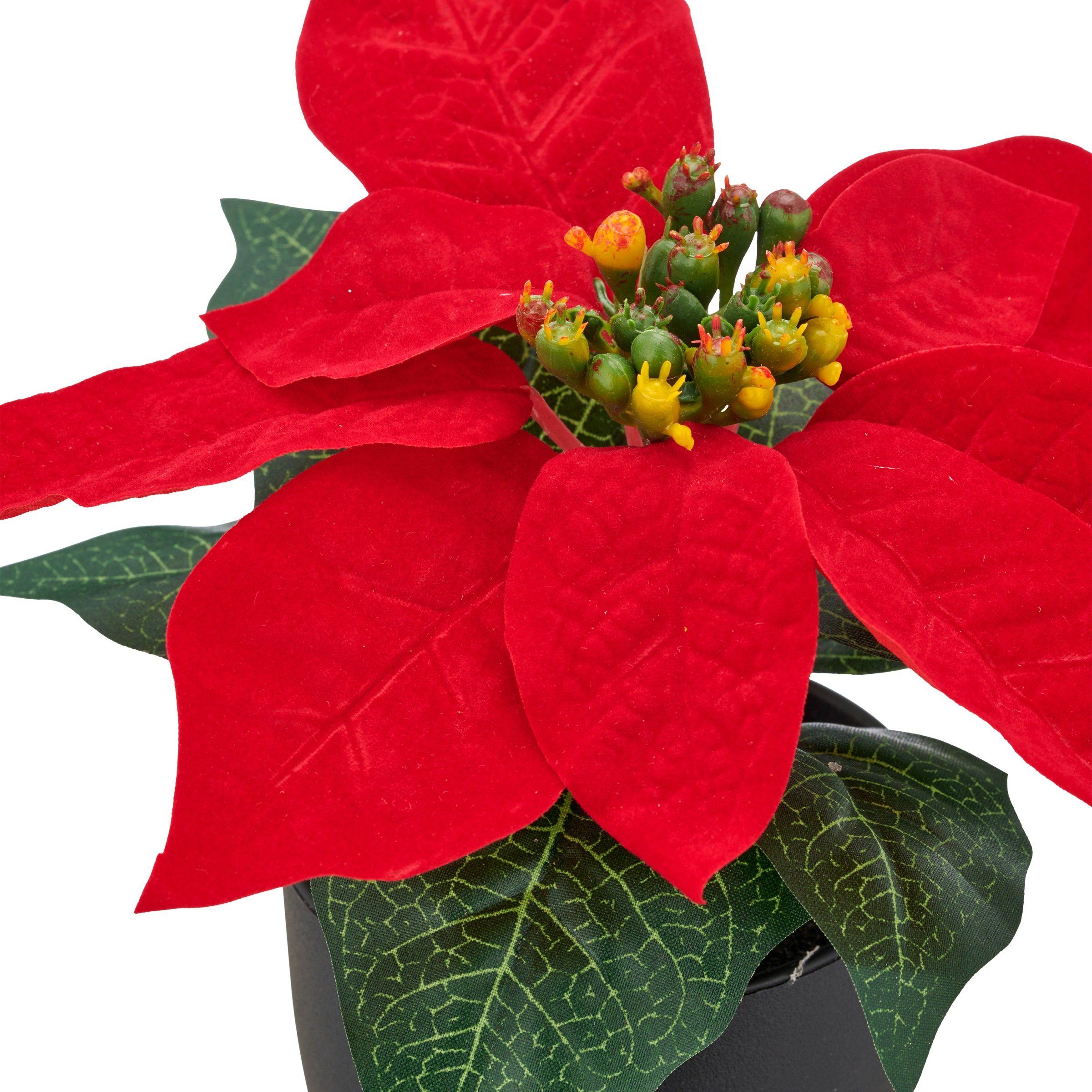 Creativ green Kunstblume »Weihnachtsstern« mit dauerhafter Blütenpracht