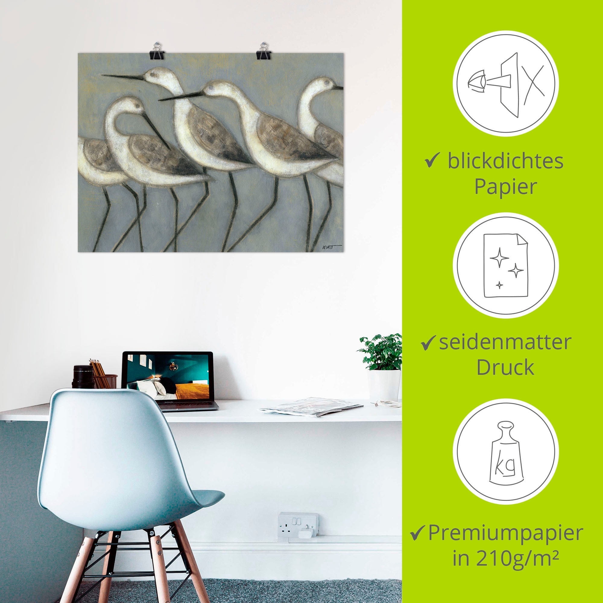 Artland Wandbild »Küstenvögel I«, Vögel, (1 St.), als Alubild, Outdoorbild, Leinwandbild, Poster in verschied. Größen