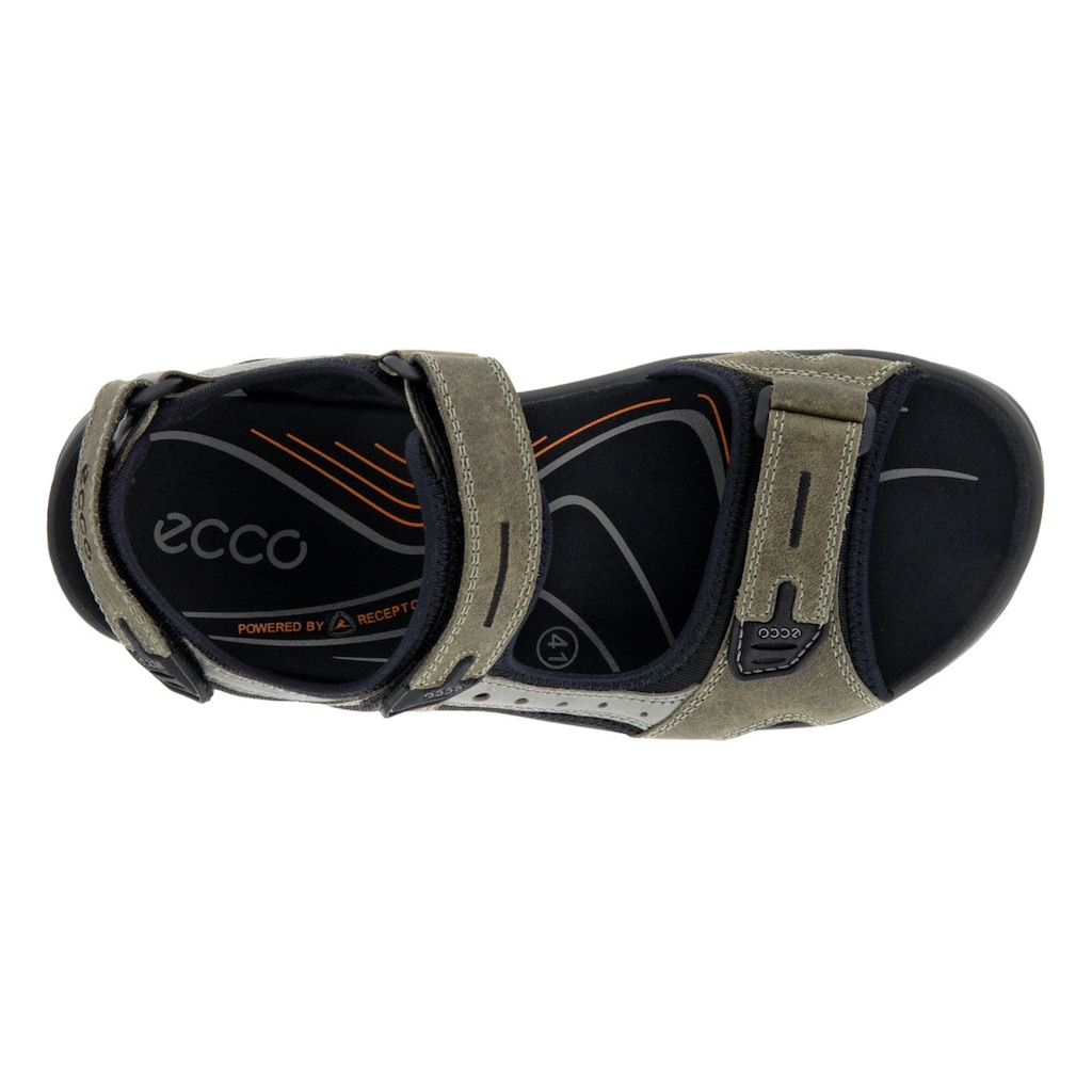 Ecco Riemchensandale »Offroad«, Sommerschuh, Klettschuh, Outdoorschuh, in Trekking-Optik