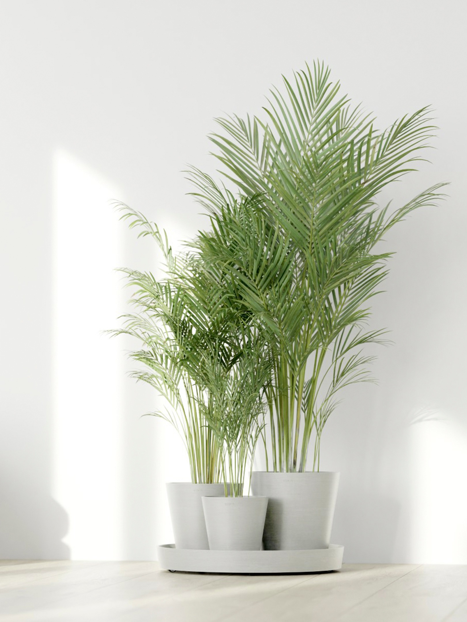 ECOPOTS Blumentopf »Dubai Weiß«, für innen und außen: frostsicher, bruchsicher und lichtbeständig