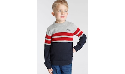 »Vendio«, großer Kapuzensweater BAUR Kapuze kaufen | mit Jungen Ragwear Kinder Hoodie