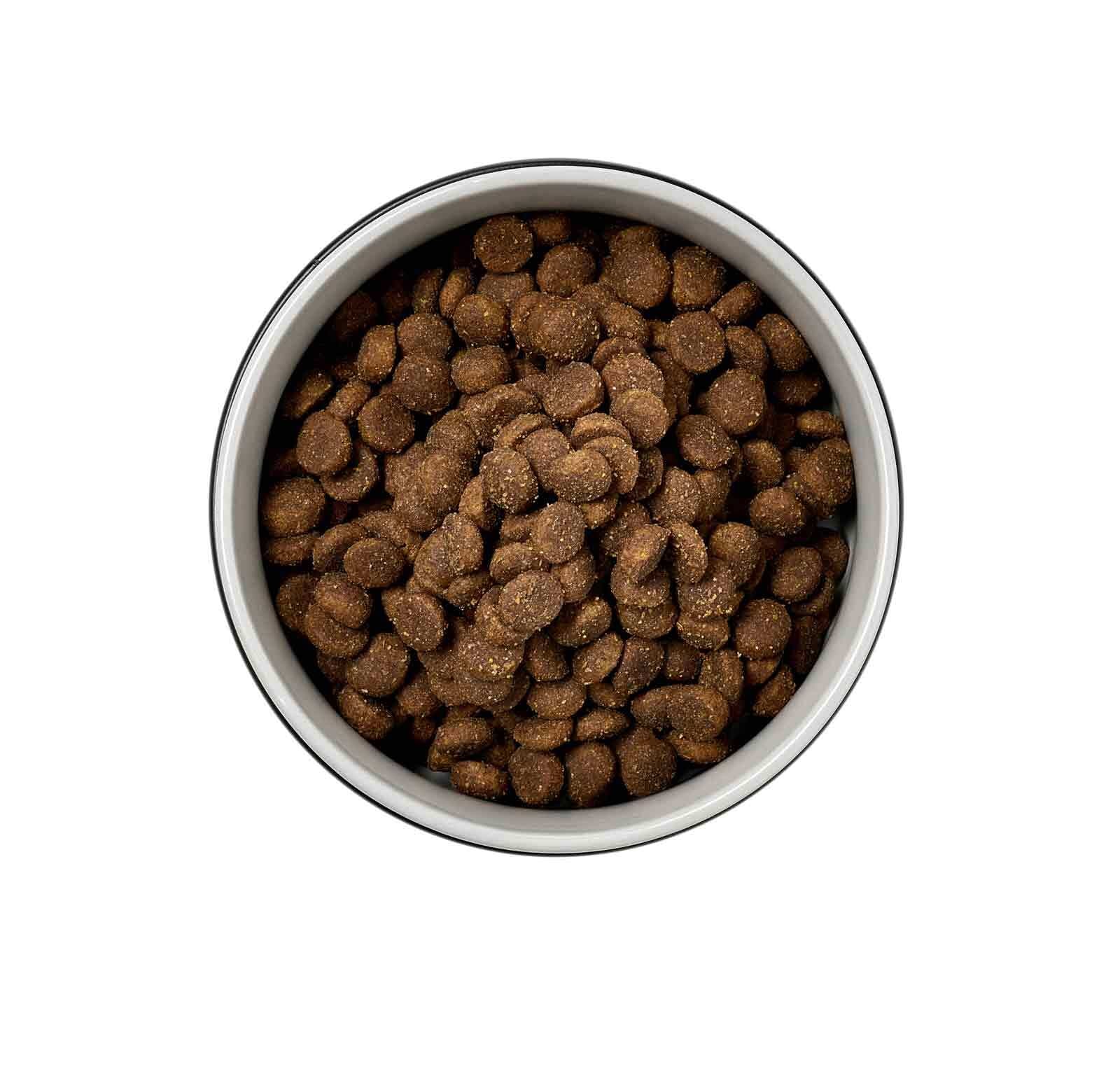 Ritzenhoff & Breker Futternapf »Hundenäpfe mit Unterlage Taro ø 17 cm 2er Set grau« Spülmaschinengeeignet