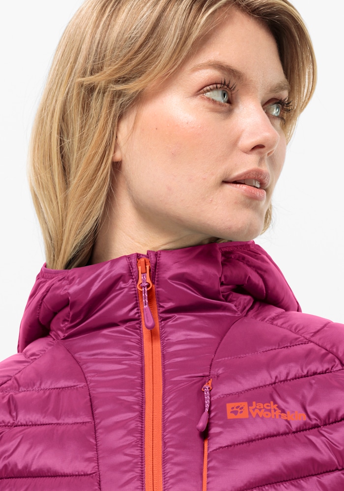 Jack Wolfskin Funktionsjacke »ROUTEBURN PRO JKT mit W«, Kapuze bestellen INS online BAUR 