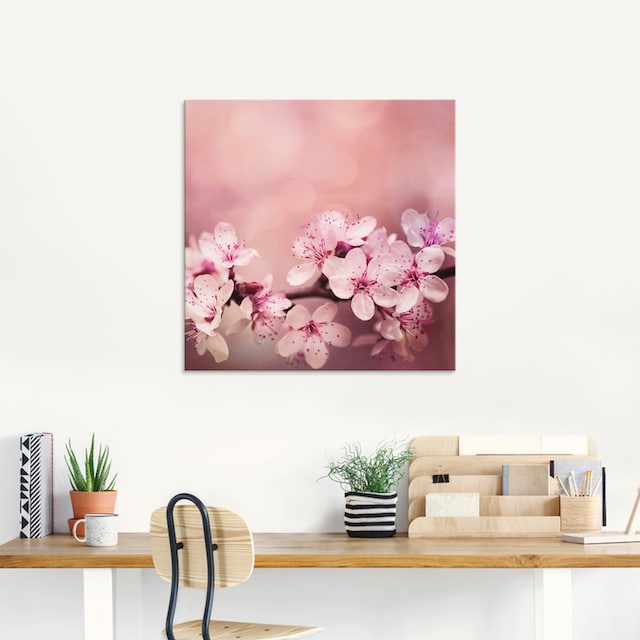 Artland Glasbild »Kirschblüten«, Blumen, (1 St.), in verschiedenen Größen  kaufen | BAUR | Poster