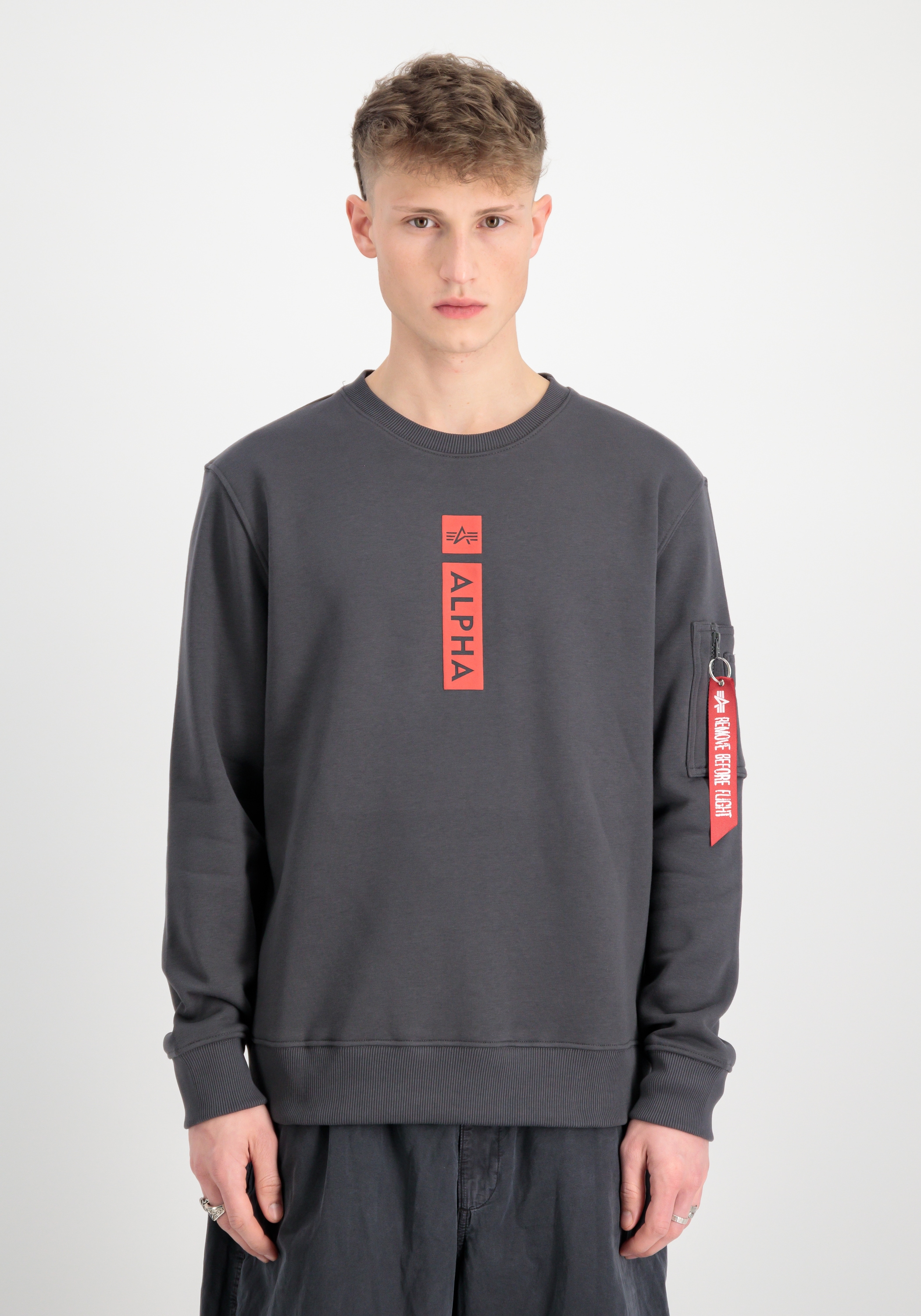 Alpha Industries Sweater »Alpha Industries Men - Sweatshirts Alpha Refl. Print Sweater«