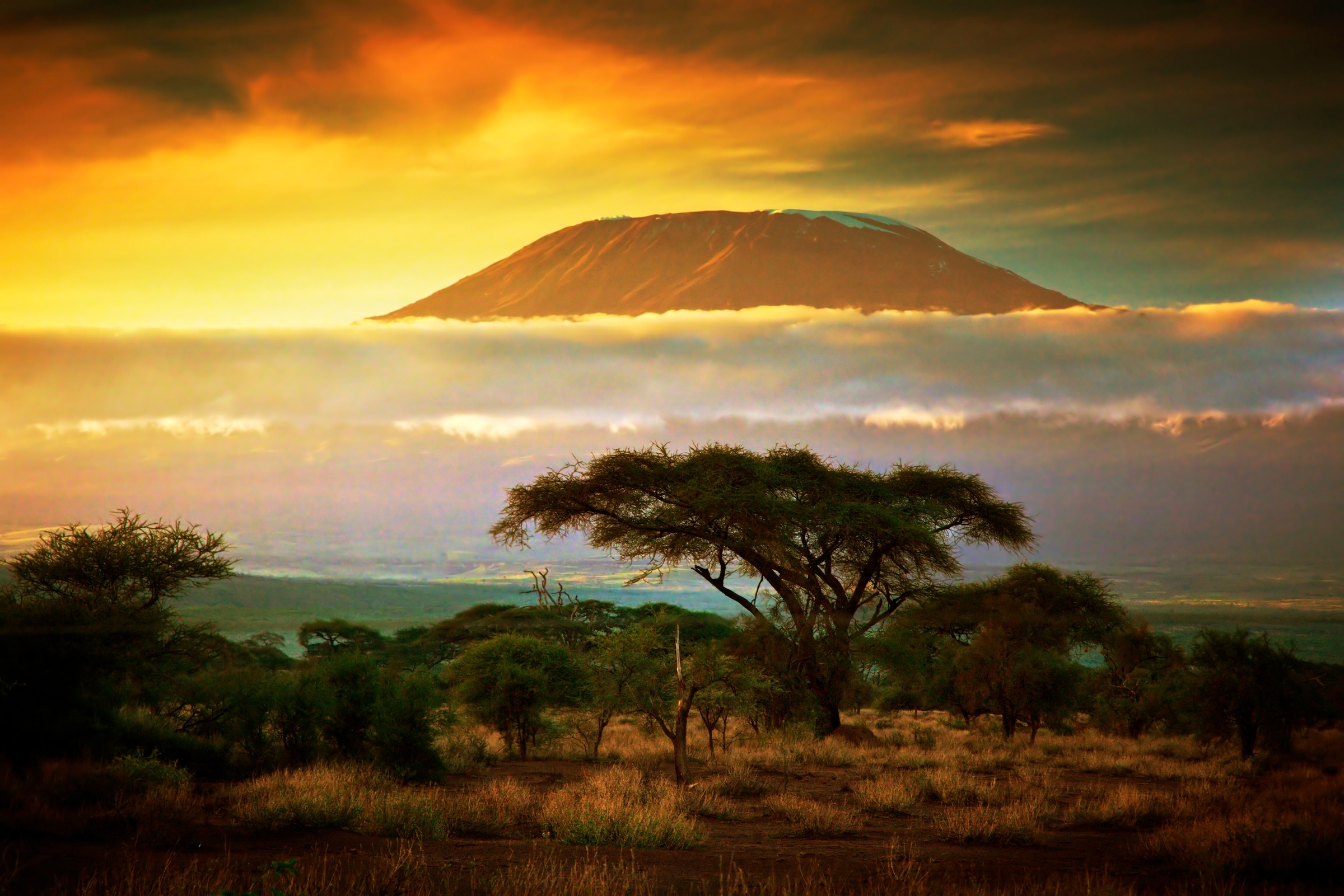 Papermoon Fototapete "Mount Kilimanjaro and Clouds" glatt