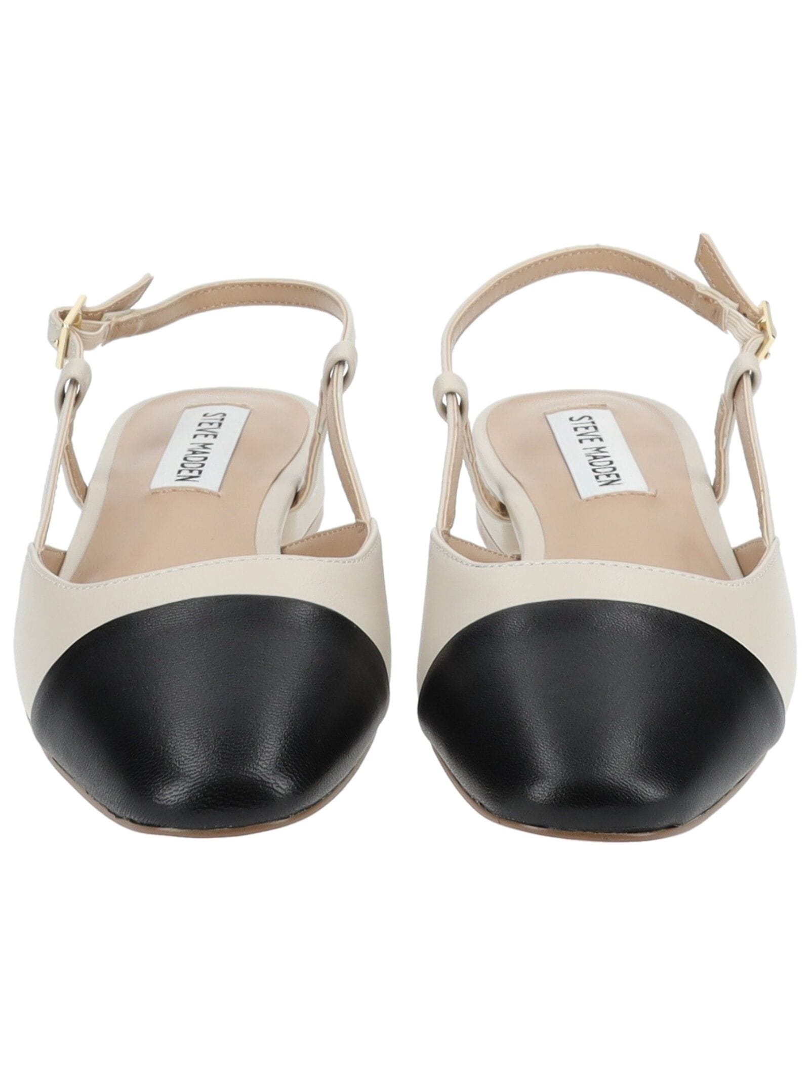 STEVE MADDEN Ballerina »STEVE MADDEN Ballerinas Leder«