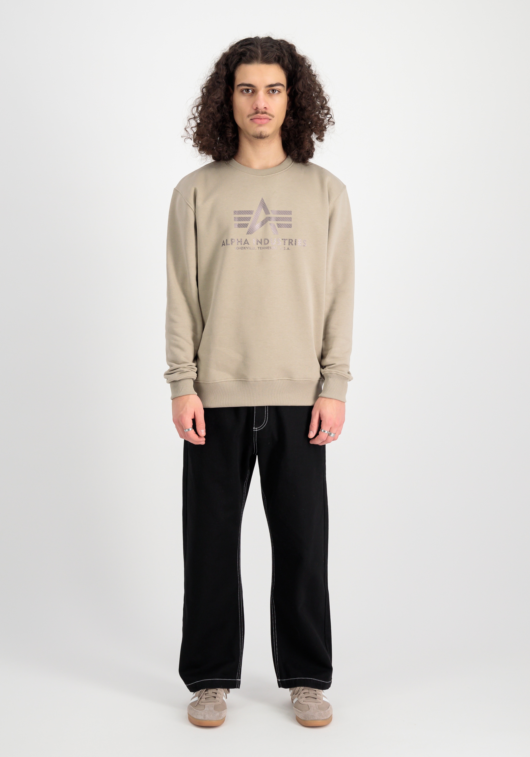 Alpha Industries Sweater »Alpha Industries Men - Sweatshirts Basic Sweater Carbon«