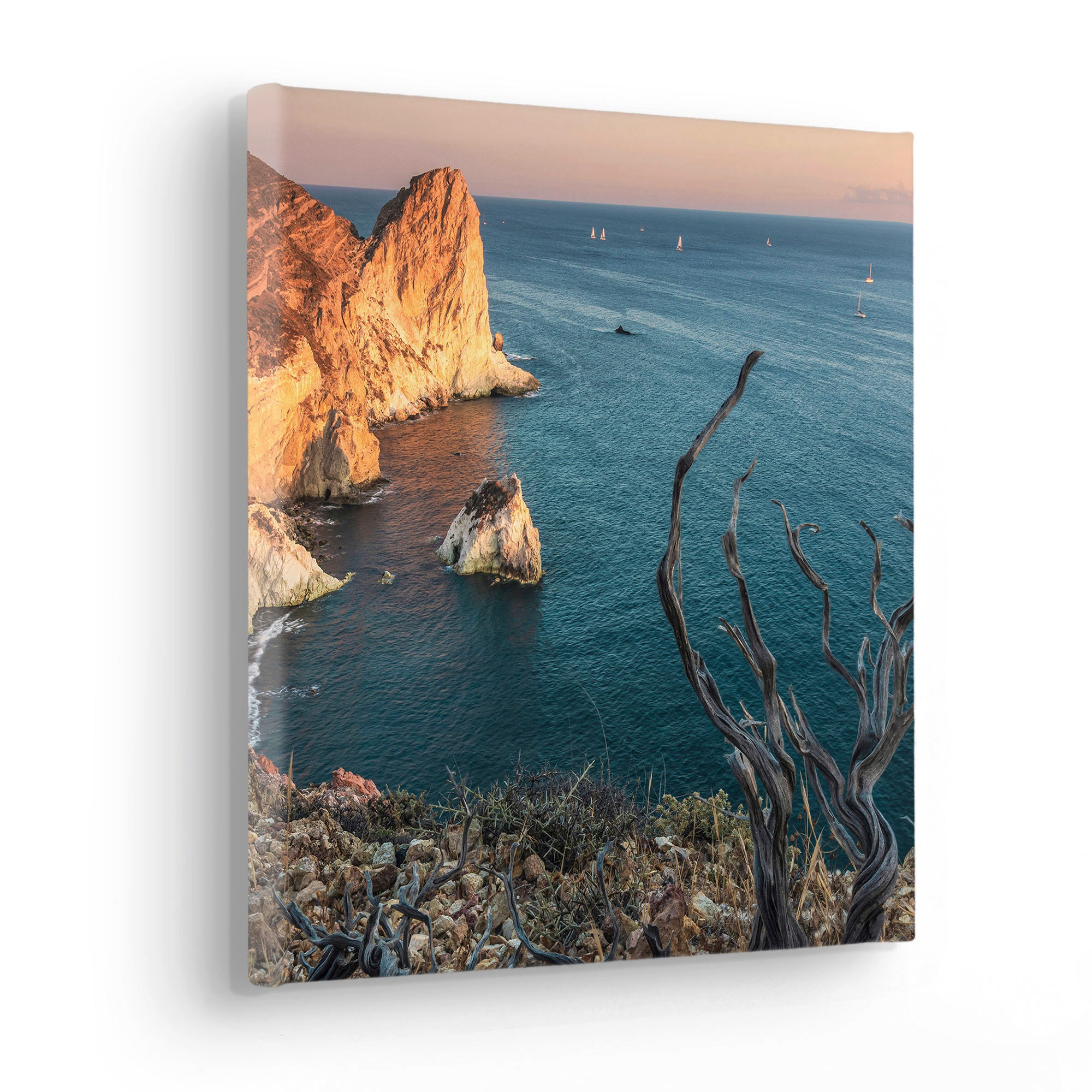Komar Leinwandbild "Steep Cove - Größe 30 x 30 cm" Baum  Berge  Blätter  Fo günstig online kaufen