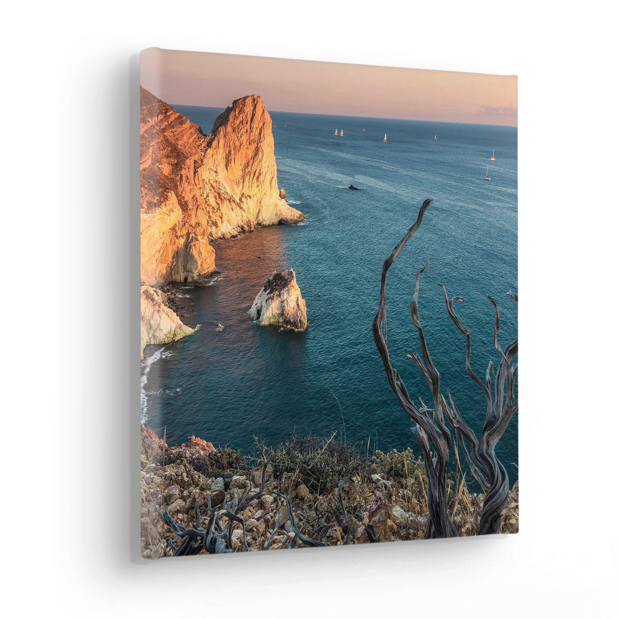 Komar Leinwandbild "Steep Cove - Größe 30 x 30 cm", Baum-Blätter-Natur-Berg günstig online kaufen