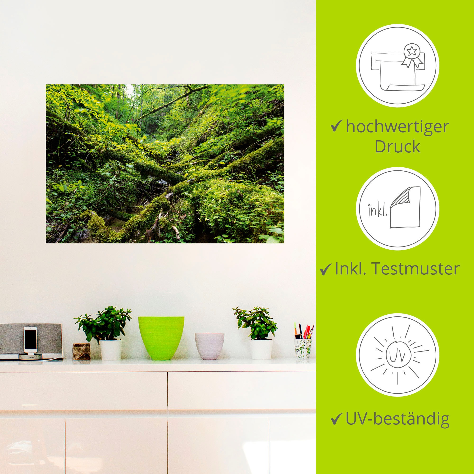 Artland Wandbild »Moosbedecktes Totholz Schwarzwald«, Waldbilder, (1 St.), als Alubild, Leinwandbild, Wandaufkleber oder Poster in versch. Größen