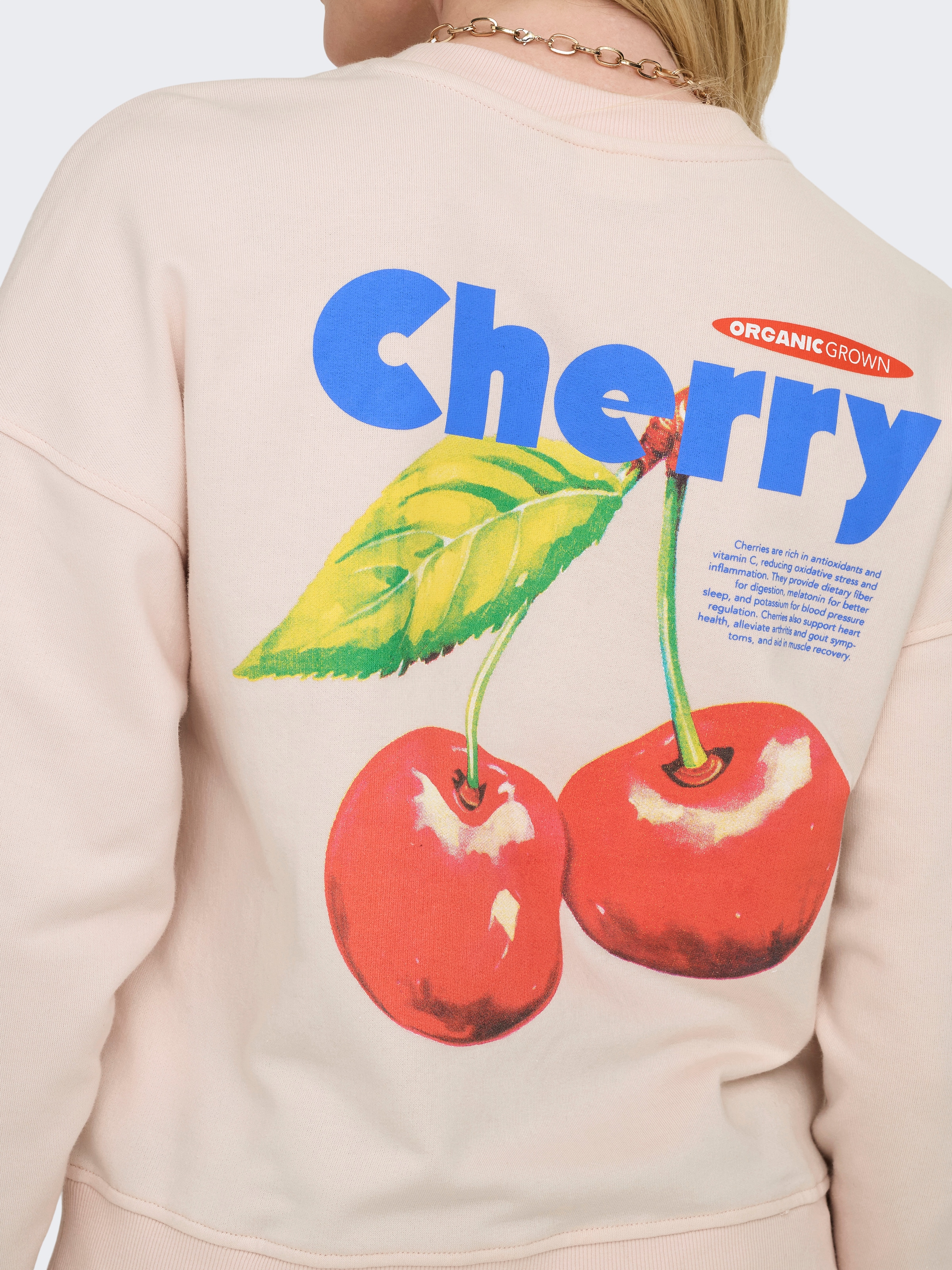 ONLY Sweatshirt »ONLPHILEA L/S FRUIT O-NECK UB SWT«