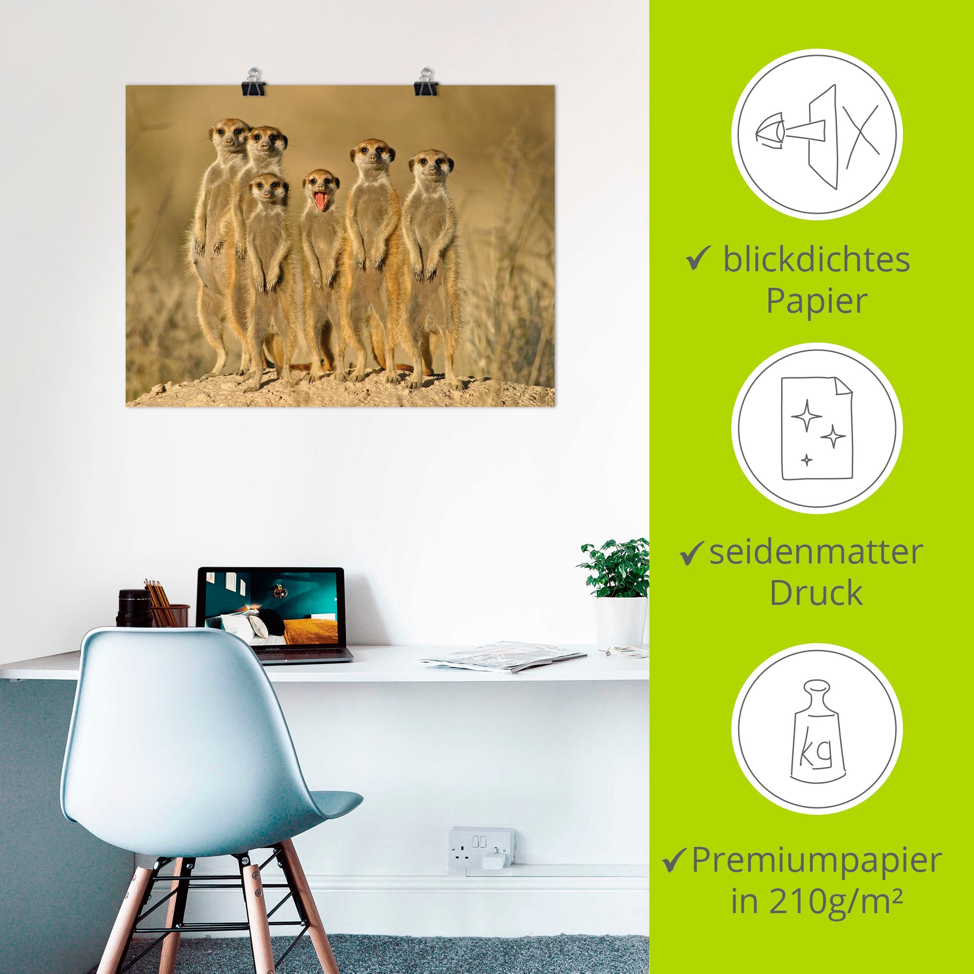 Artland Wandbild »Erdmännchen Familie« Wildtiere 1 Stk. tlg. als Alubild, Outdoorbild, Leinwandbild, Poster, Wandaufkleber