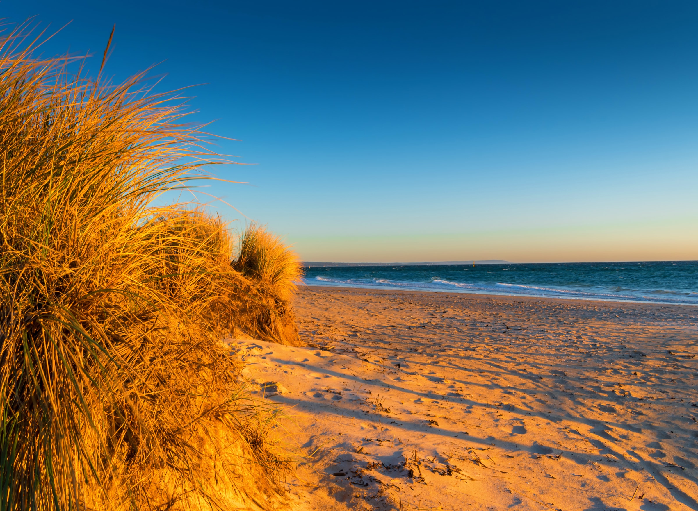 Papermoon Fototapete "Dunes Chelsea Beach Australia" glatt