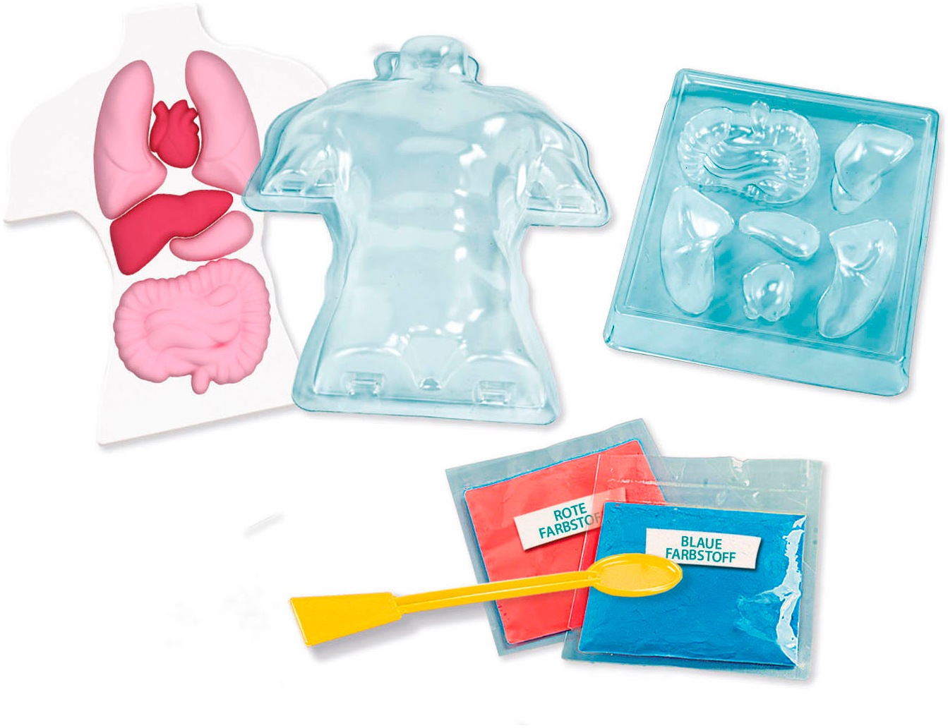 Clementoni® Experimentierkasten »Galileo Lab, Squishy Anatomie«