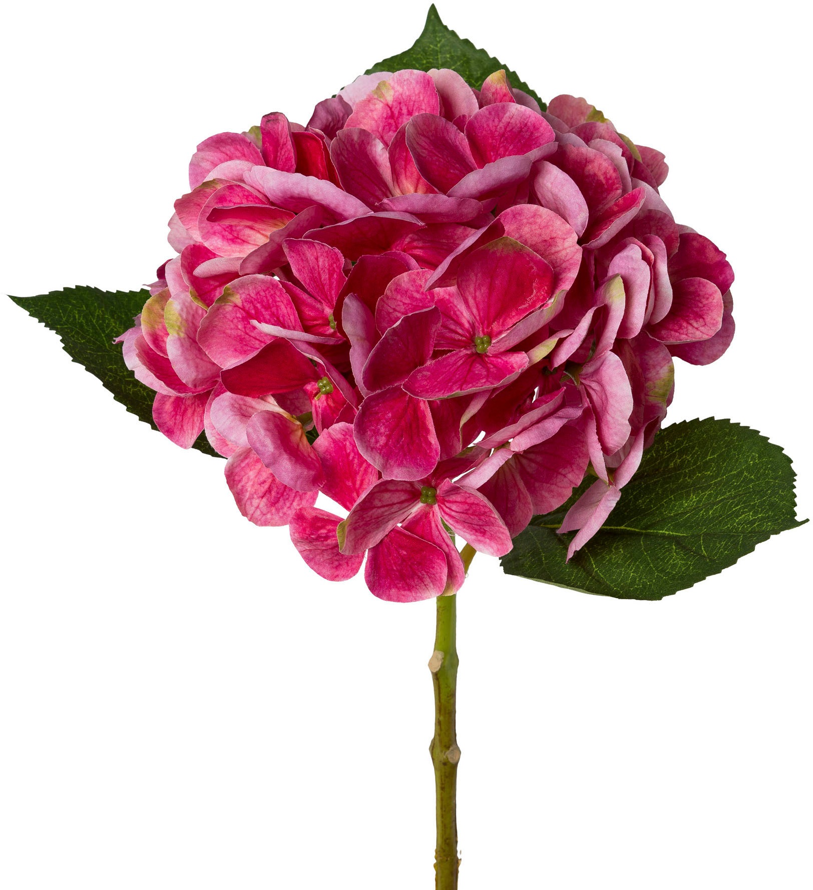 Creativ green Kunstblume »Hortensie«