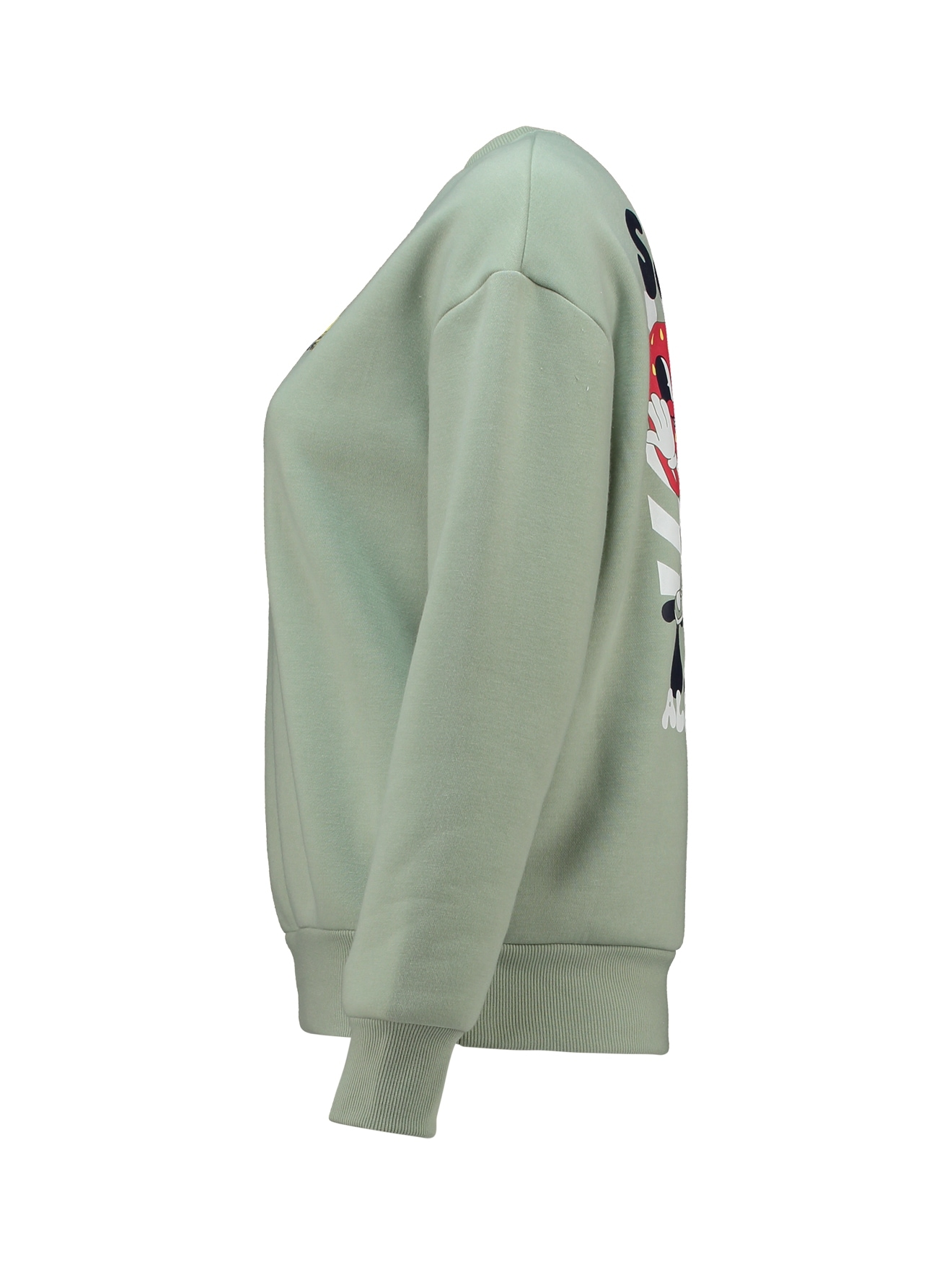 HaILY’S Sweatshirt »LS C SW Mi44lou«