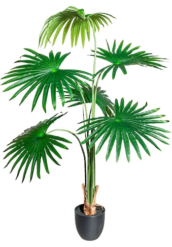 Kunstbaum »Washingtonia«