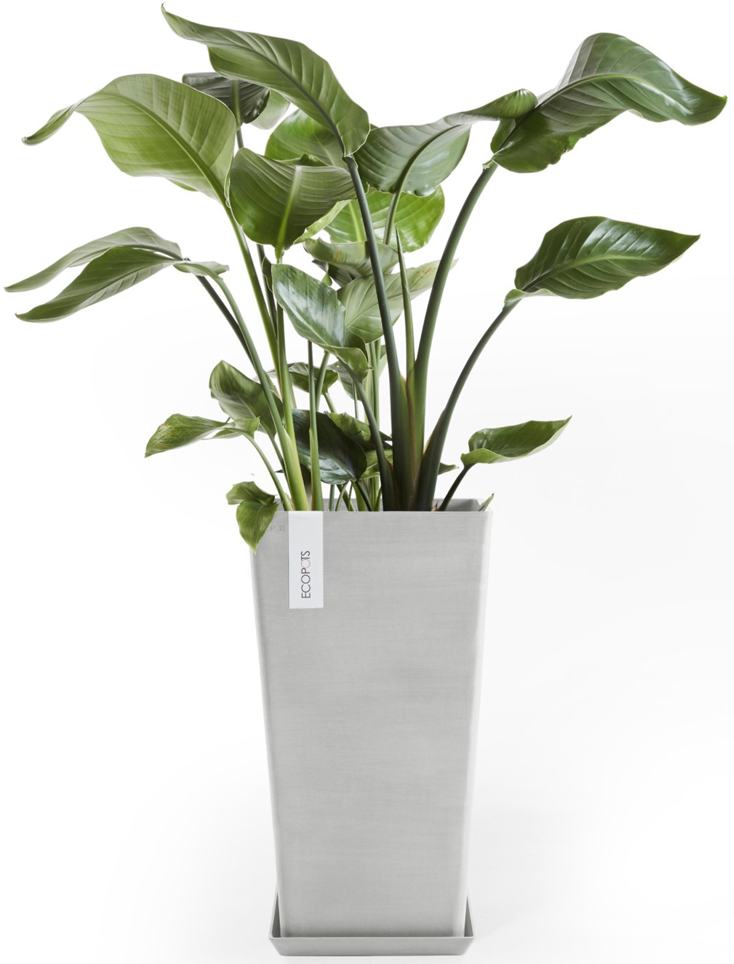 ECOPOTS Blumentopf »Rotterdam halbhoch 56 Weißgrau«, für innen und außen: frostsicher, bruchsicher und lichtbeständig