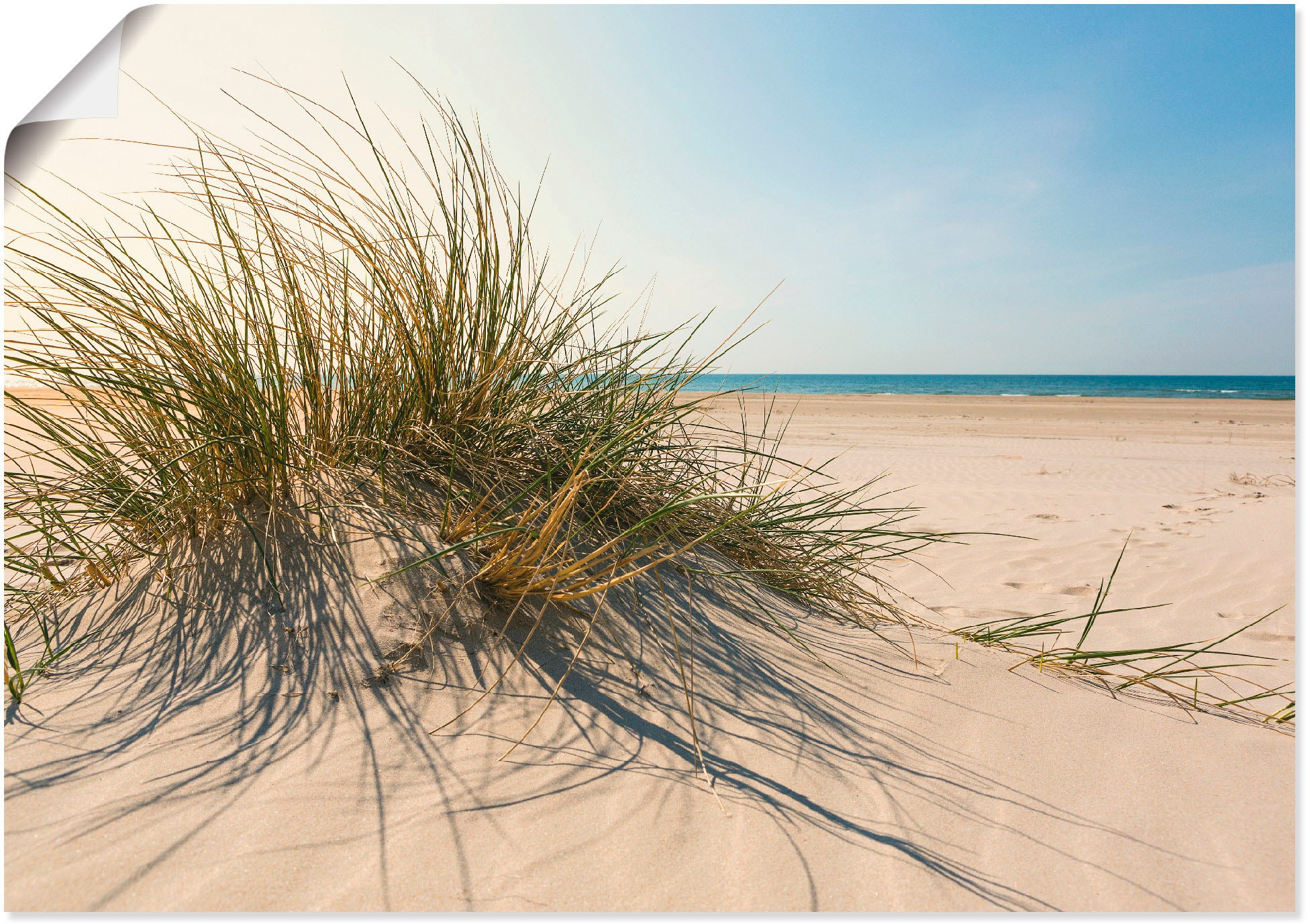 Wandbild »Strandgras«, Küste, (1 St.), als Alubild, Outdoorbild, Leinwandbild, Poster,...