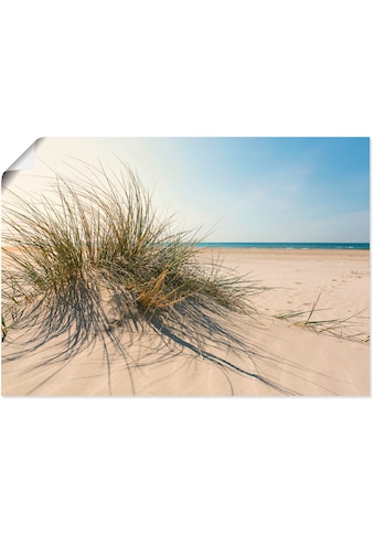 Artland Wandbild »Strandgras«, Küste, (1 St.), in vielen Größen & Produktarten -... kaufen