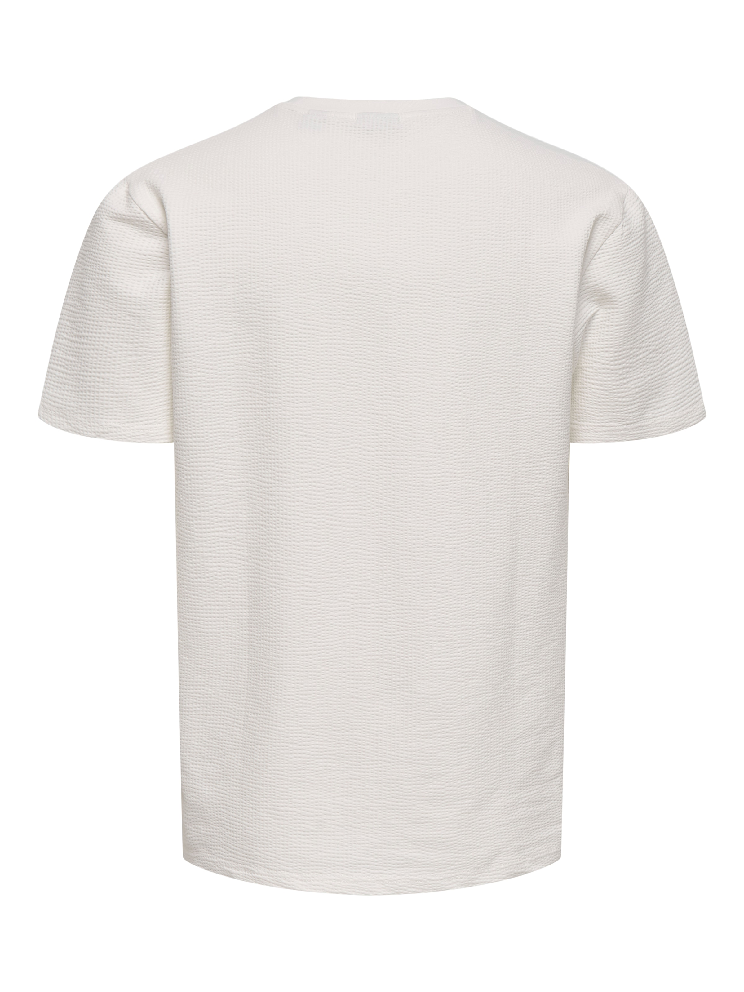 ONLY & SONS Rundhalsshirt »ONSKIAN LIFE REG SEERSUCKER SS TEE NOOS«