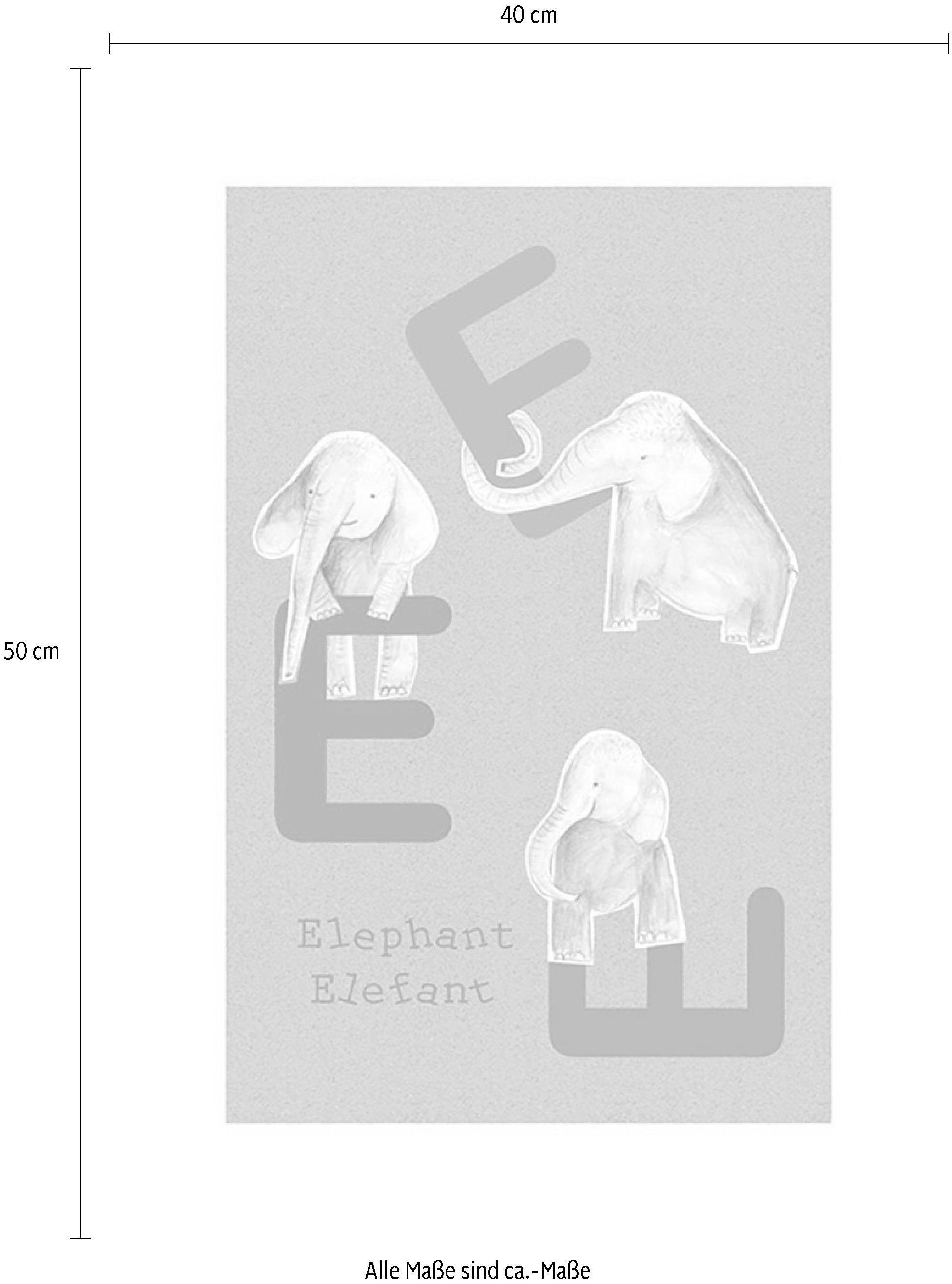Komar Bild »ABC Animal E«, Buchstaben, (1 St.), Wandbild zur Dekoration - ohne Rahmen