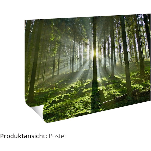 Black Friday Artland Wandbild »Kaskaden eines Baches im Wald«, Gewässer, (1  St.), als Alubild, Leinwandbild, Wandaufkleber oder Poster in versch. Größen  | BAUR