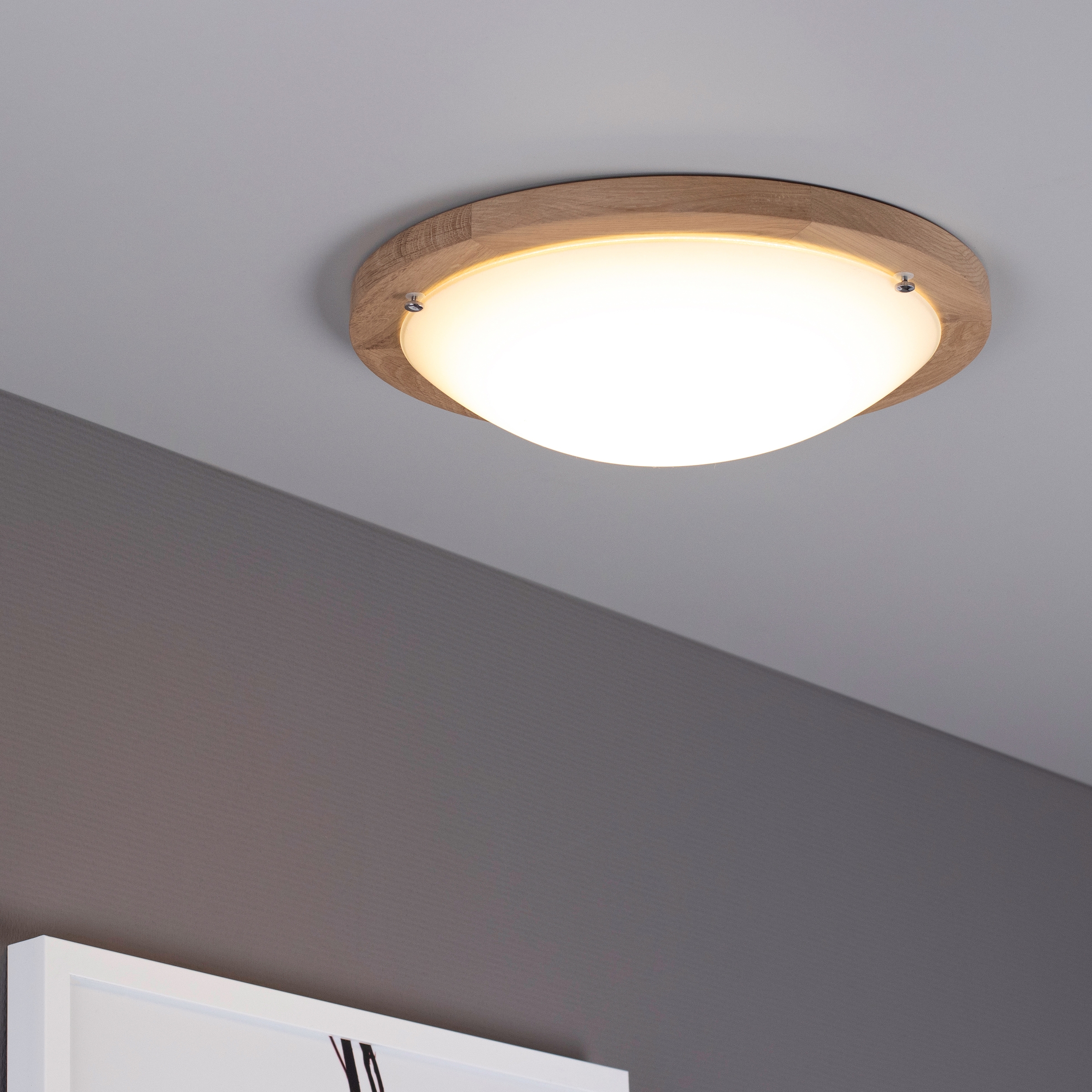 SPOT Light LED Deckenleuchte »FRIDA«, 1 flammig-flammig, LED-Lichtquelle  integriert, Schirm aus Glas, Baldachin aus Einchenholz kaufen | BAUR