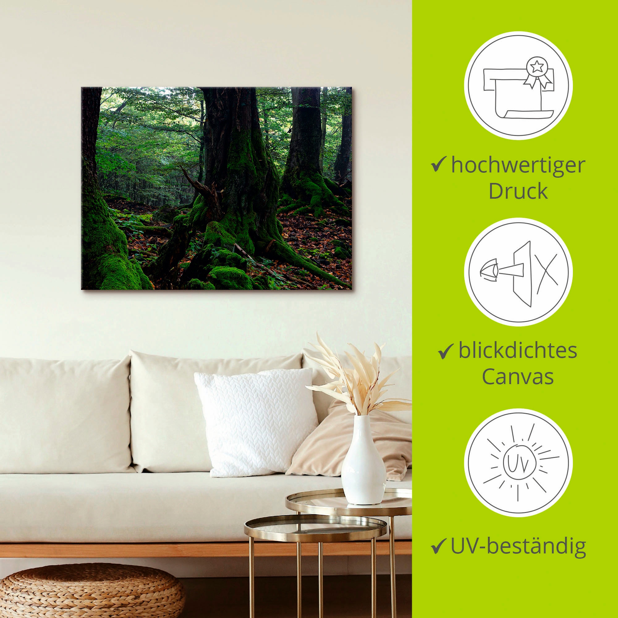 Artland Leinwandbild »Alte Bäume am Kraterrand«, Wald, (1 St.), auf Keilrahmen gespannt