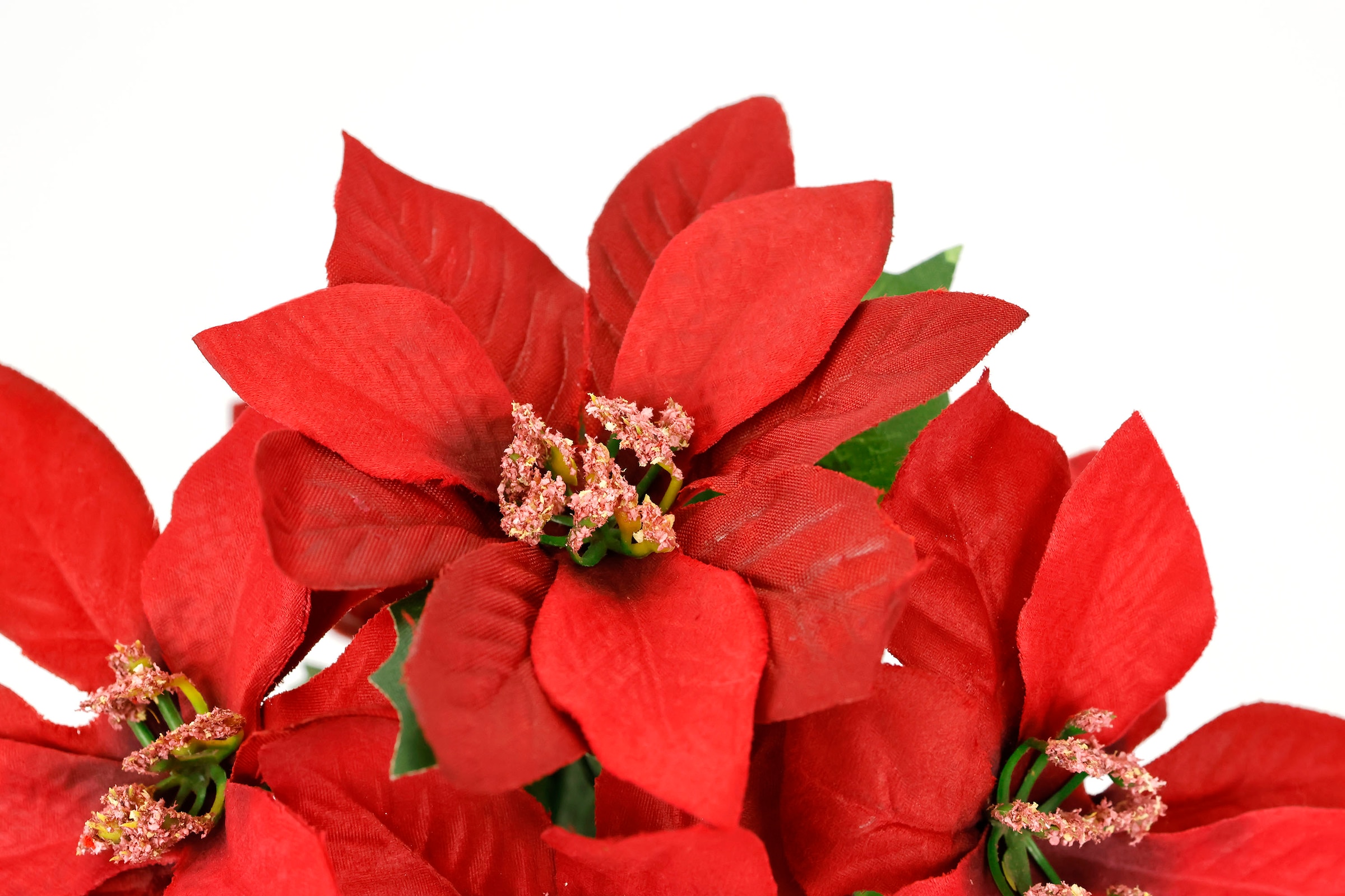 I.GE.A. Kunstblume »Poinsettia im Topf«, 2er Set Künstliche Blume Weihnachtsstern Christstern Weihnachtsdeko