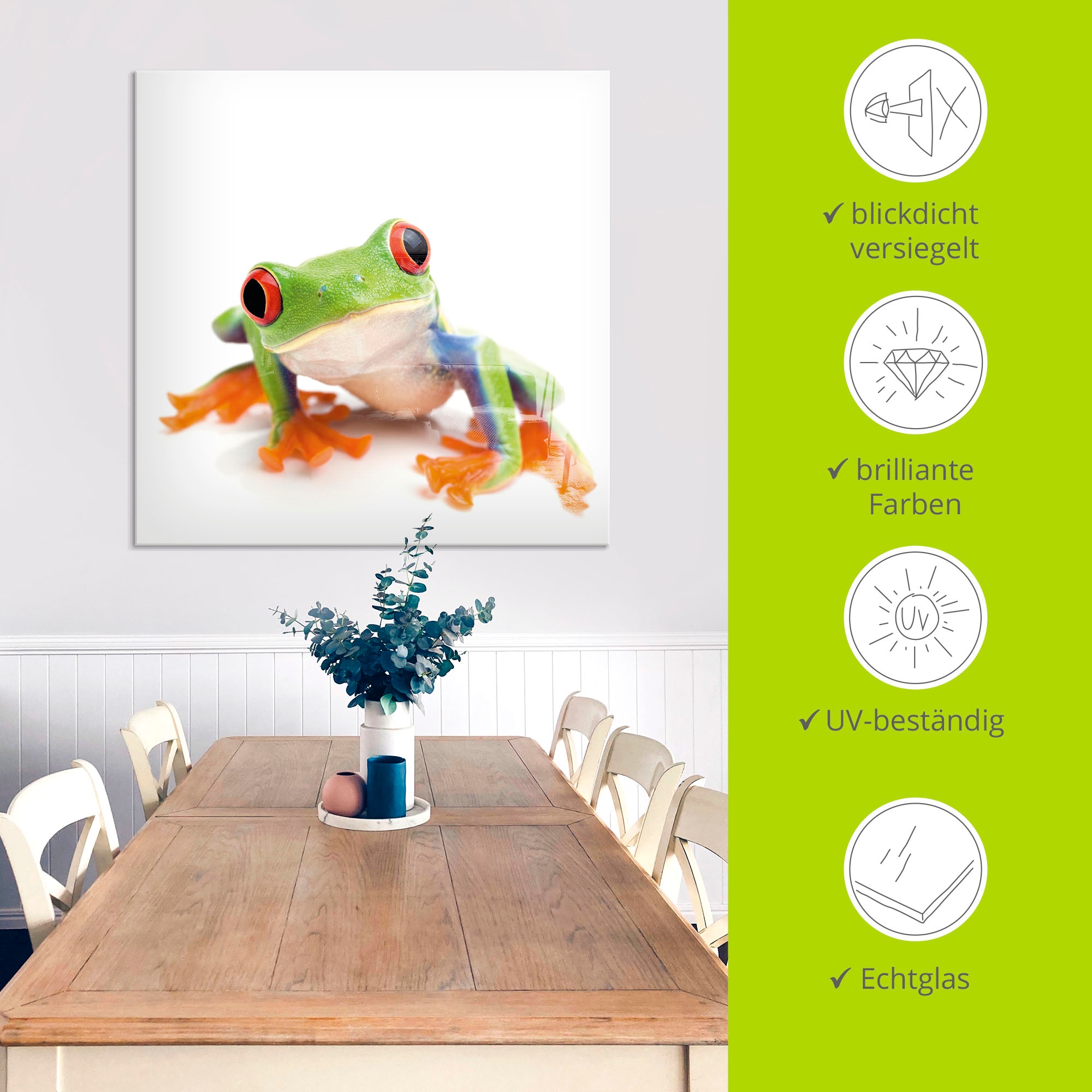 Artland Glasbild »Großaufnahme eines Frosches vor weiß«, Wassertiere, (1 St.), in verschiedenen Größen